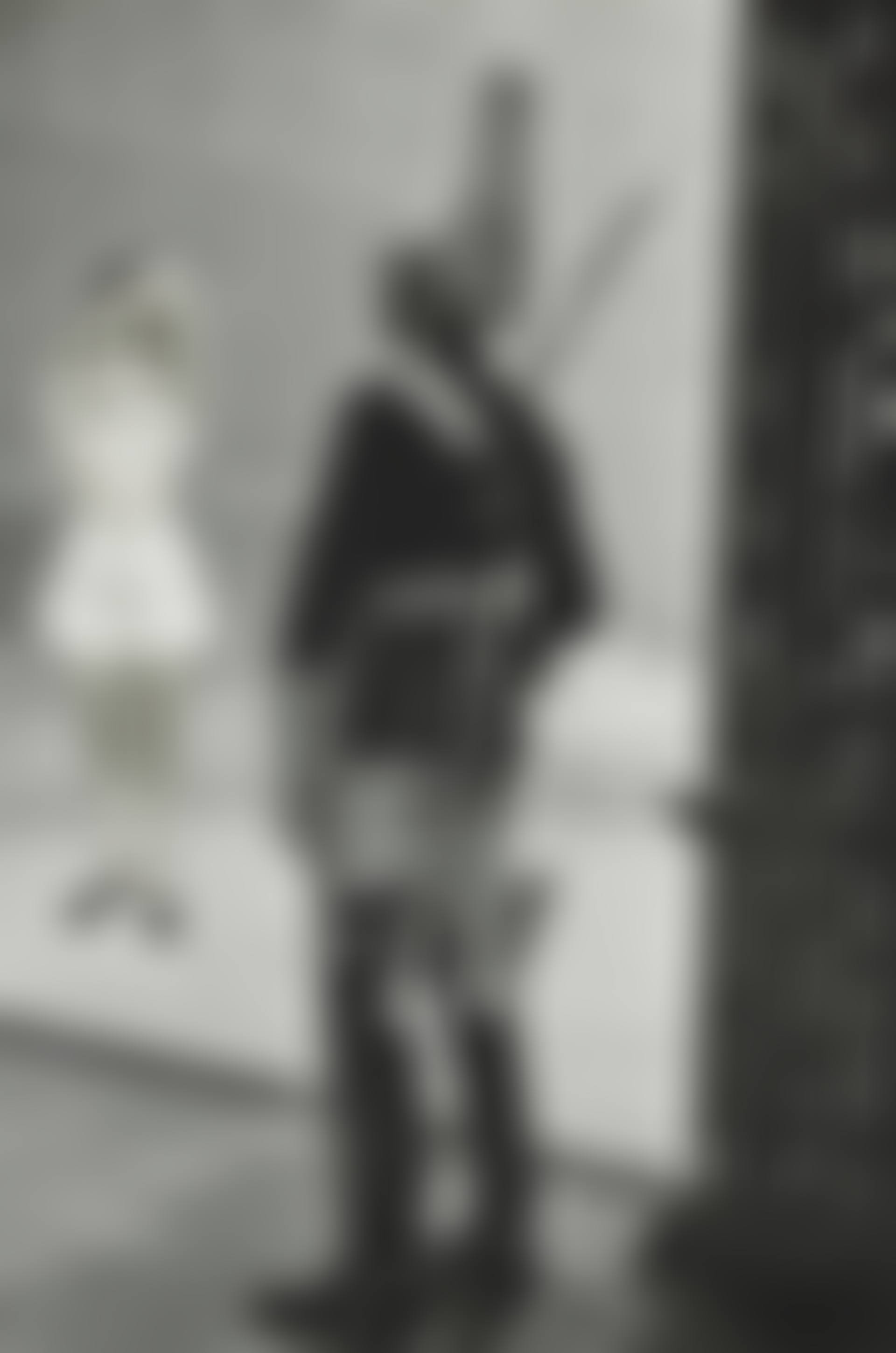 Untitled (Scantily Clad Girl Exposing Herself to Palace Guard) (preview)