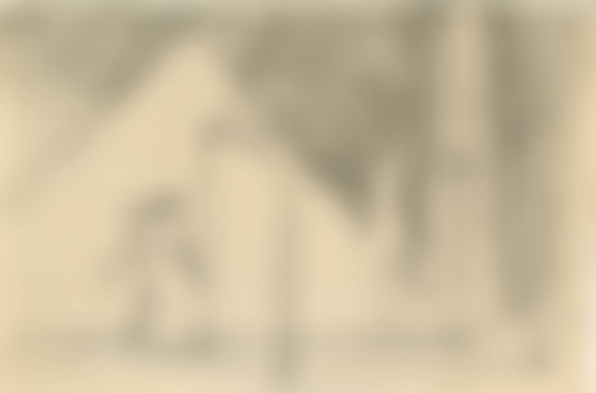 Le toil (preview)