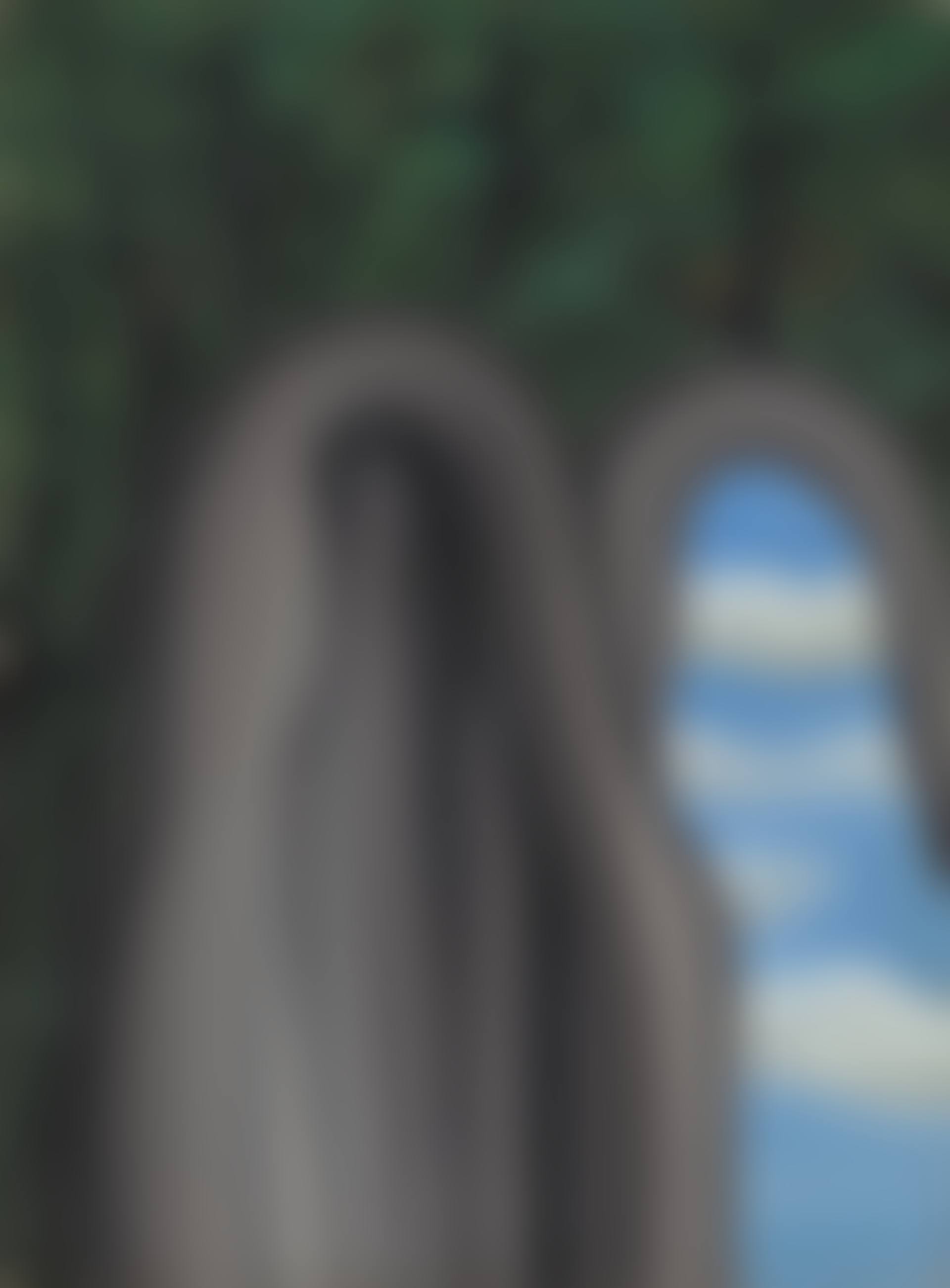 Le palais de rideaux (preview)