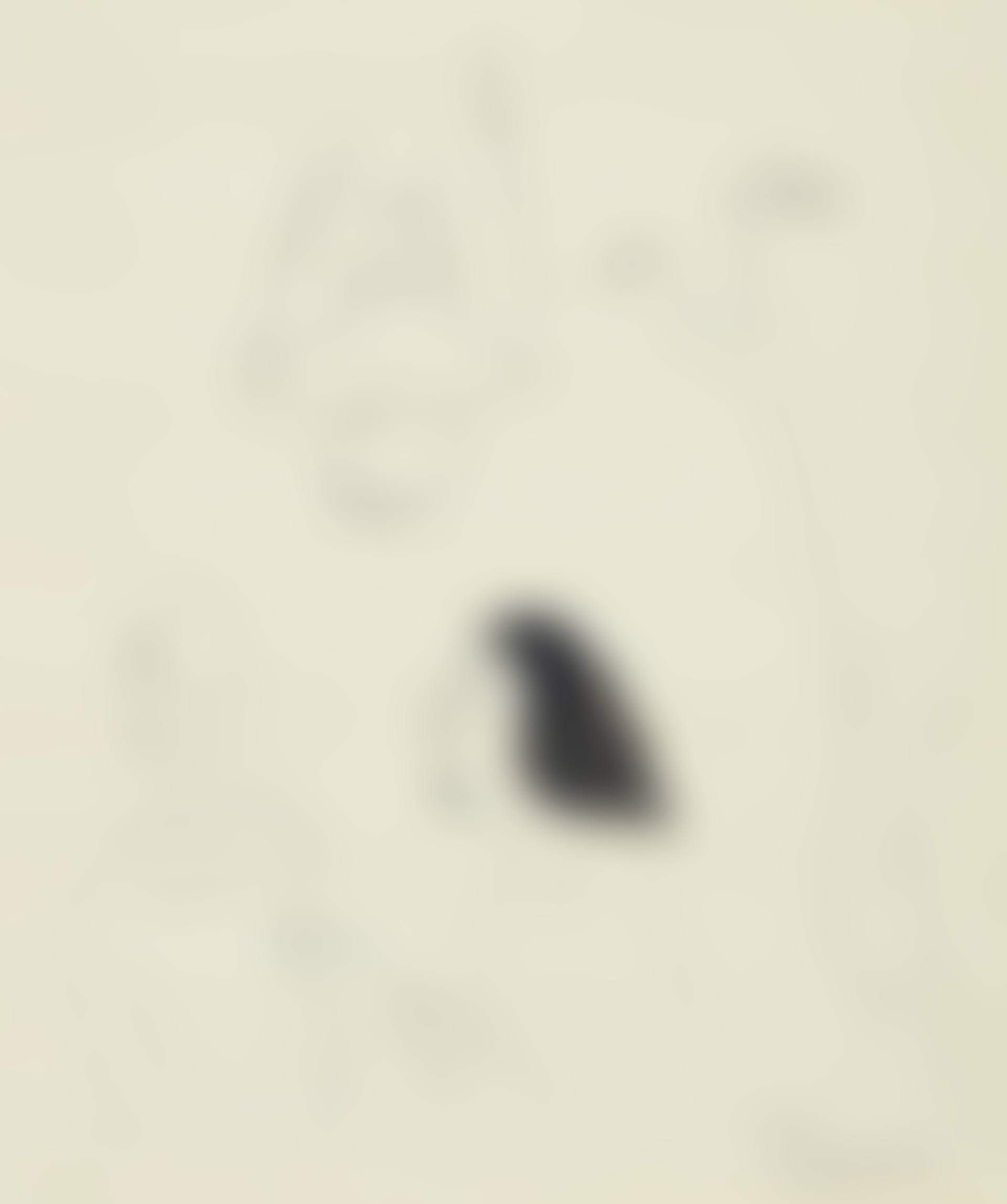 La conversation autour de Première rencontre de Bella Chagall (preview)
