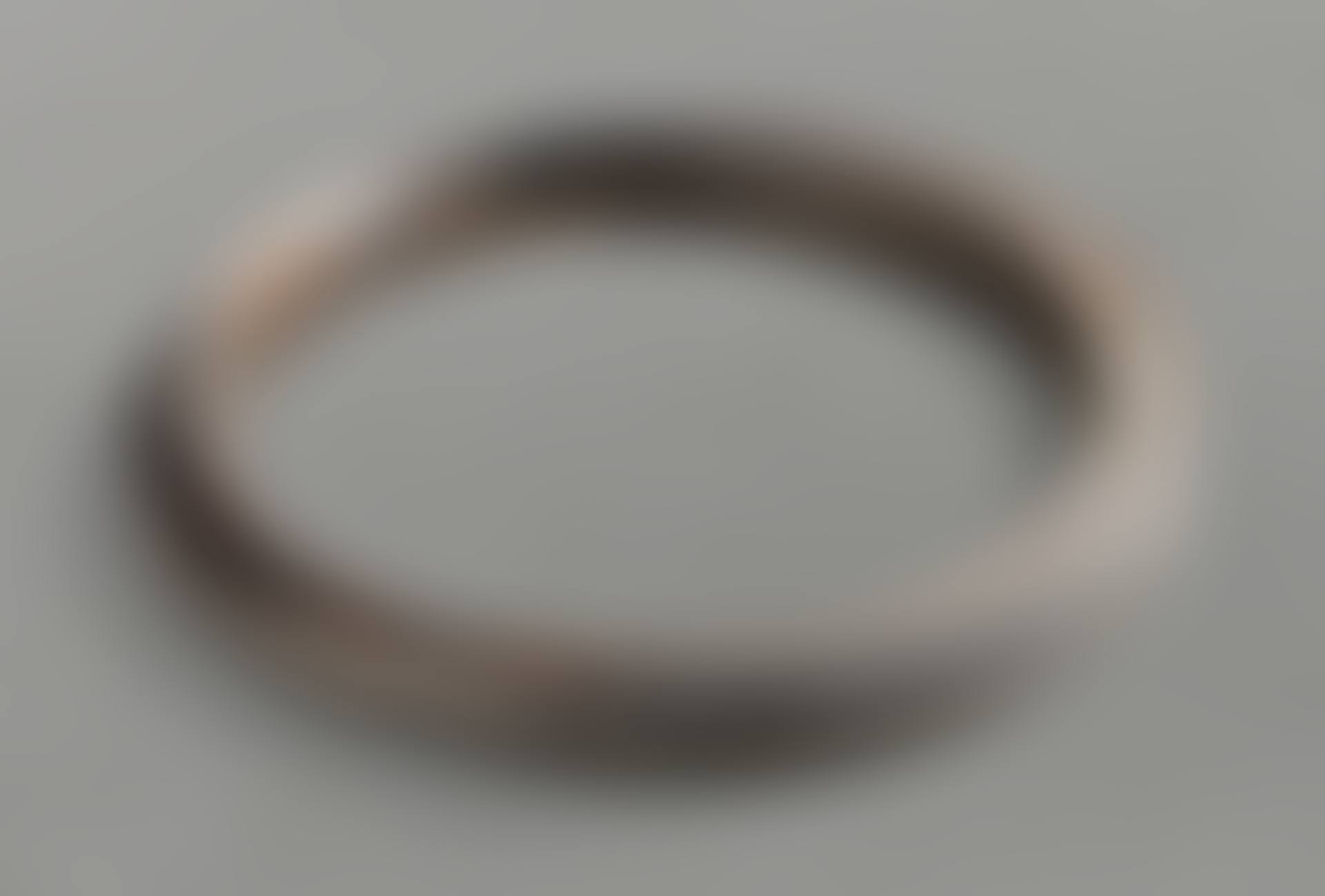 Untitled (Ring) (preview)