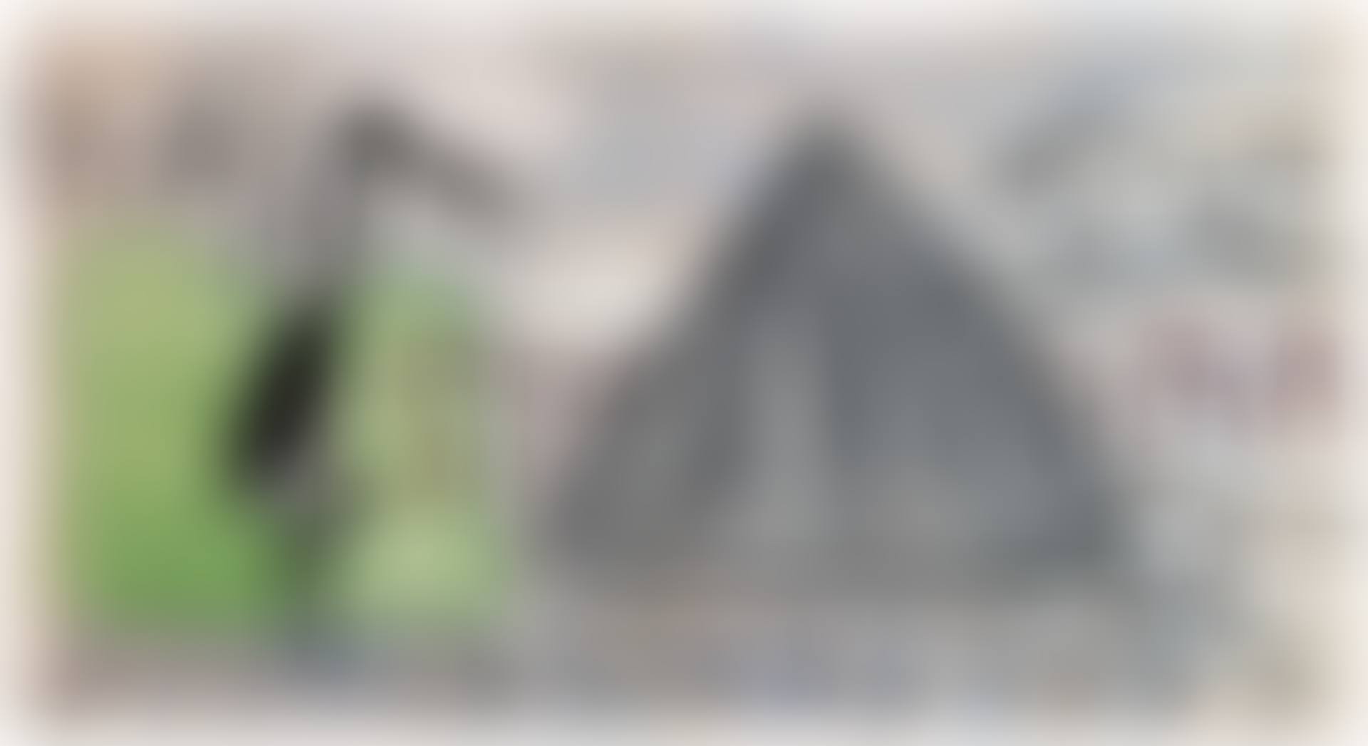 Black Stork (preview)