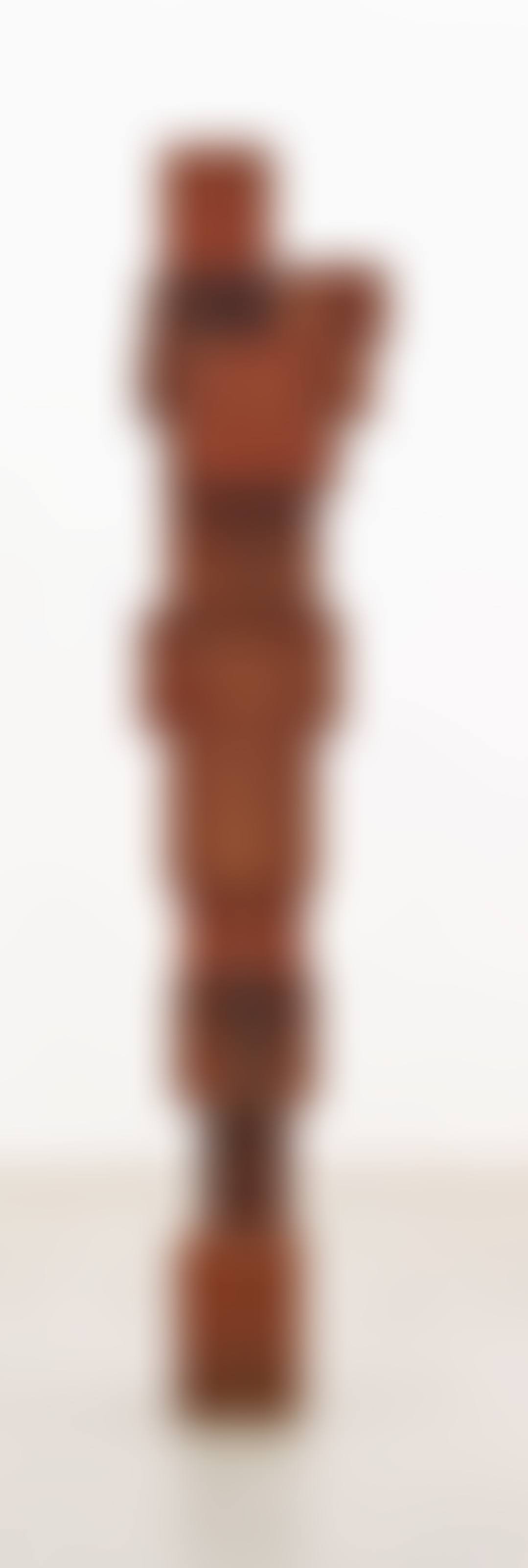Vise (preview)