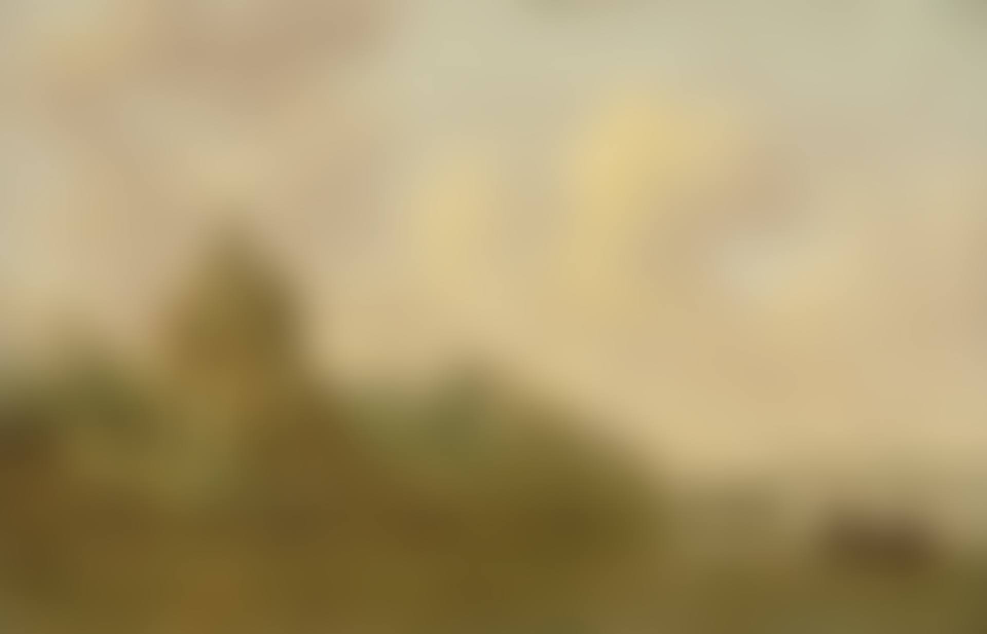 River landscape with a house, topped by a small tower with a dovecot (preview)