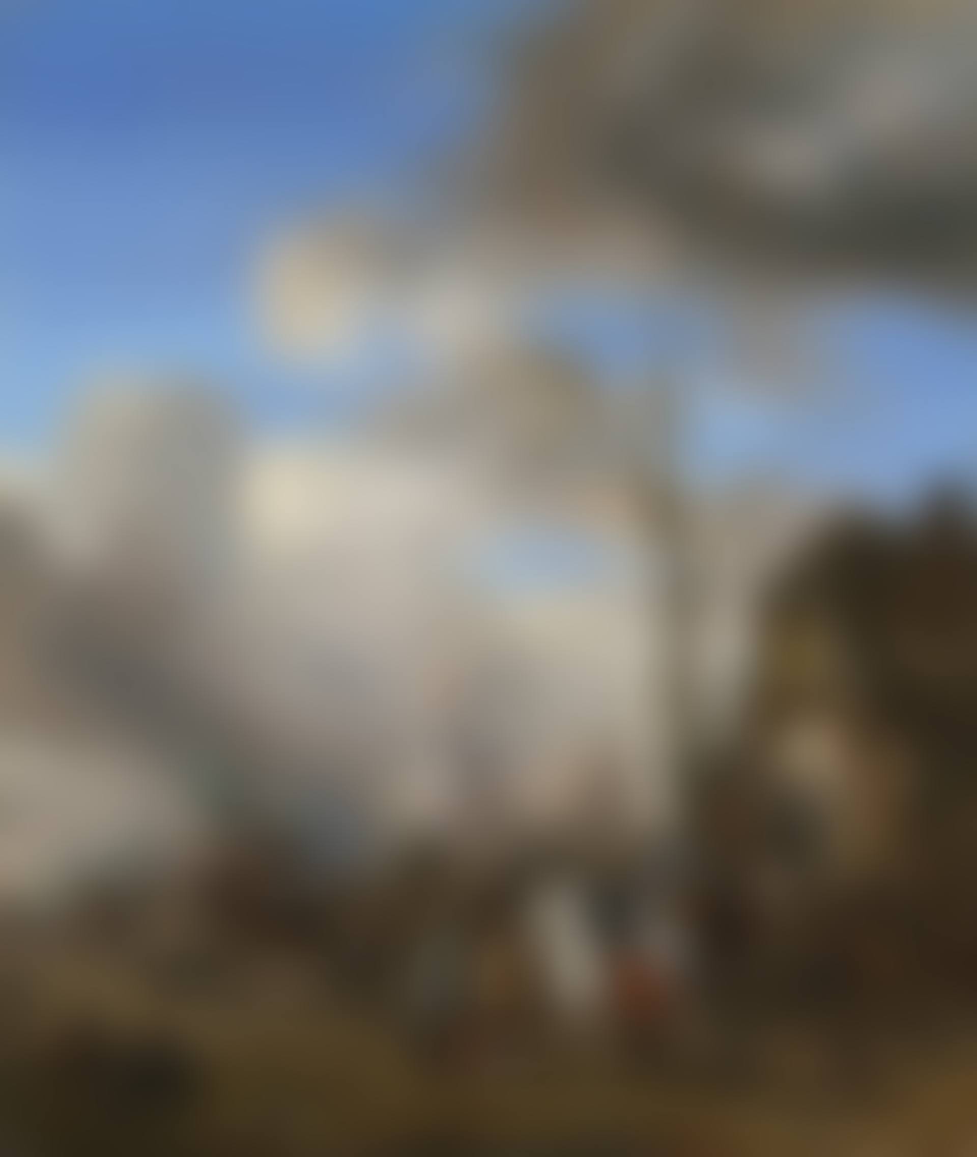 A Horse Fair (preview)