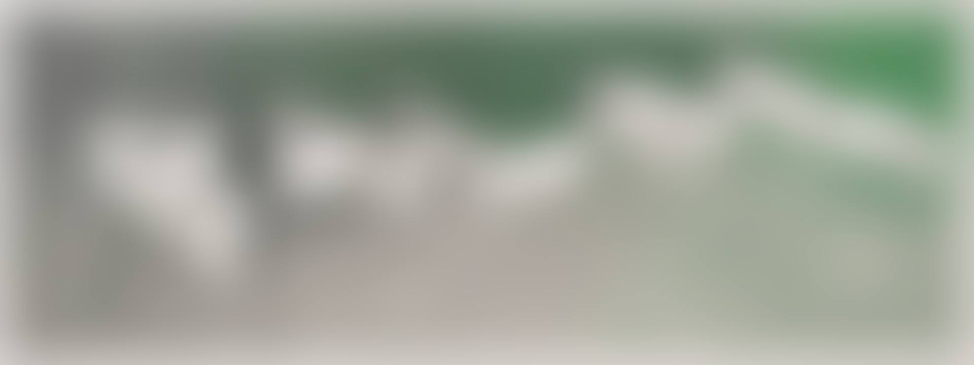 Palm (preview)