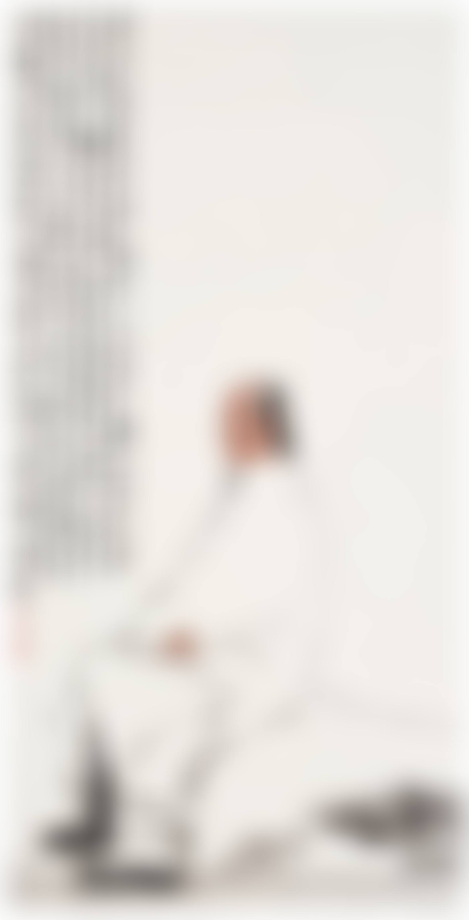 Portrait of Cao Xueqin (preview)
