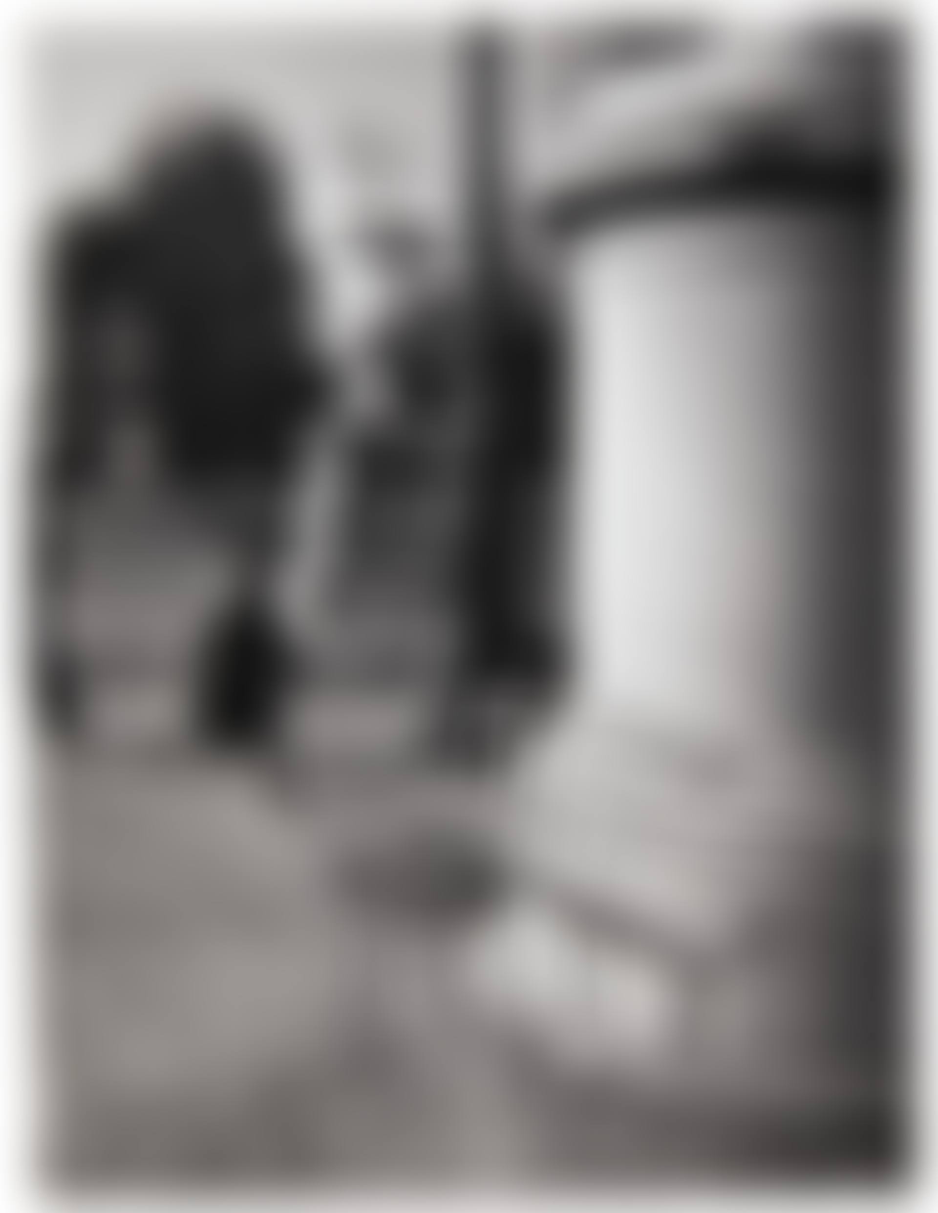 Tuileries, Paris (preview)