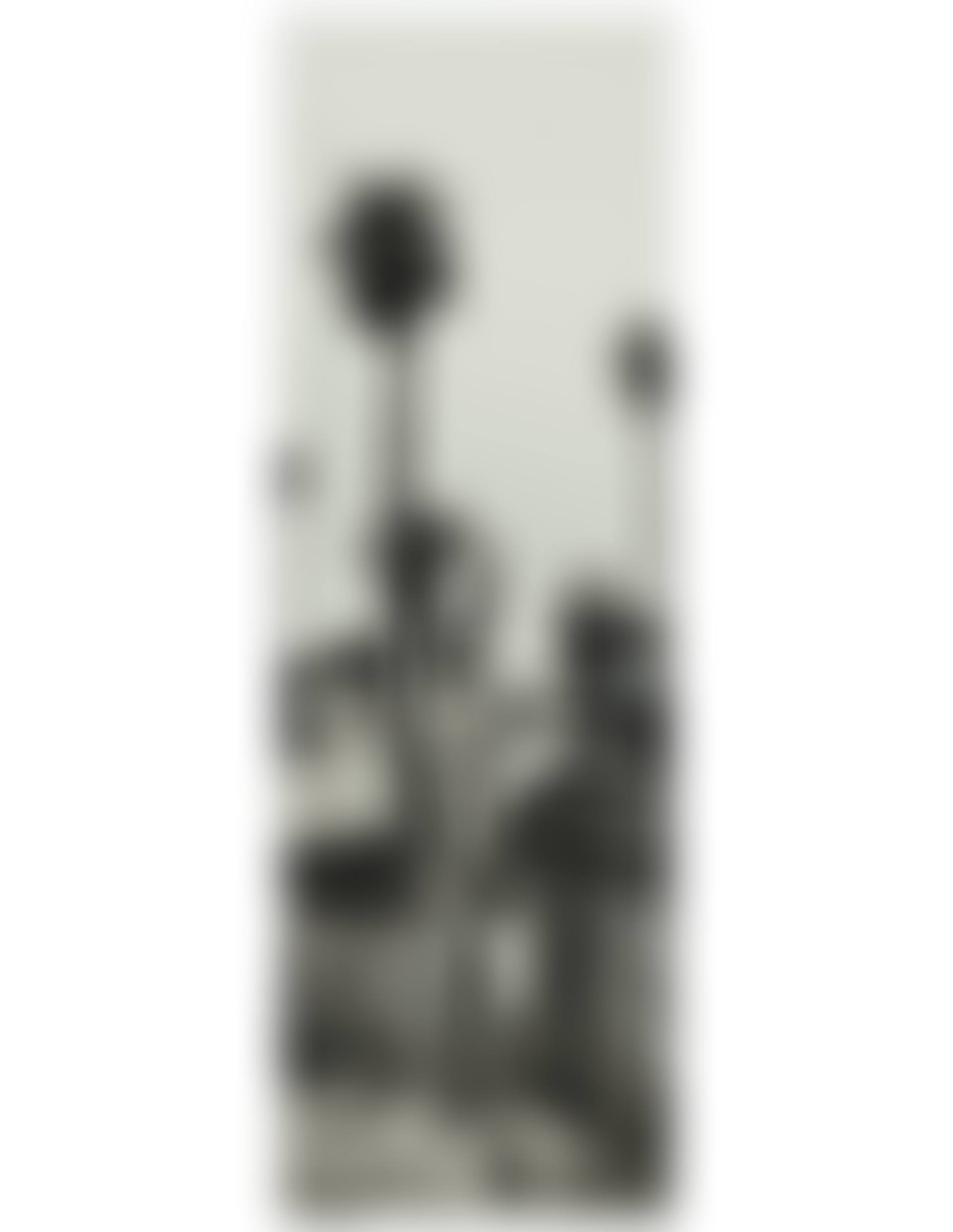 Panoramic Nude, Woman with Gun, Villa d'Este, Como (preview)