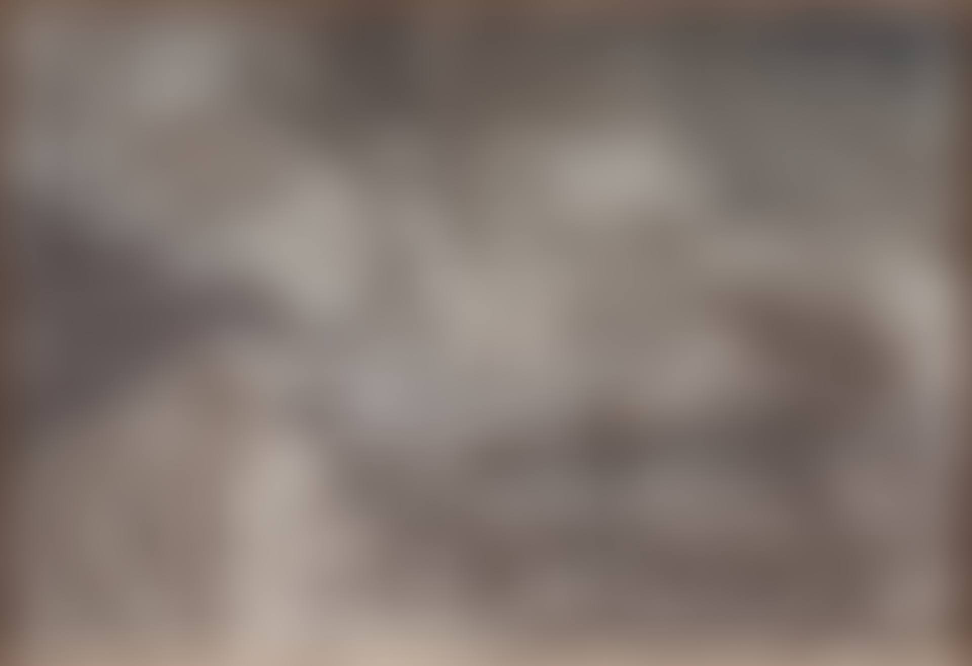 Untitled (20402#FC) (preview)
