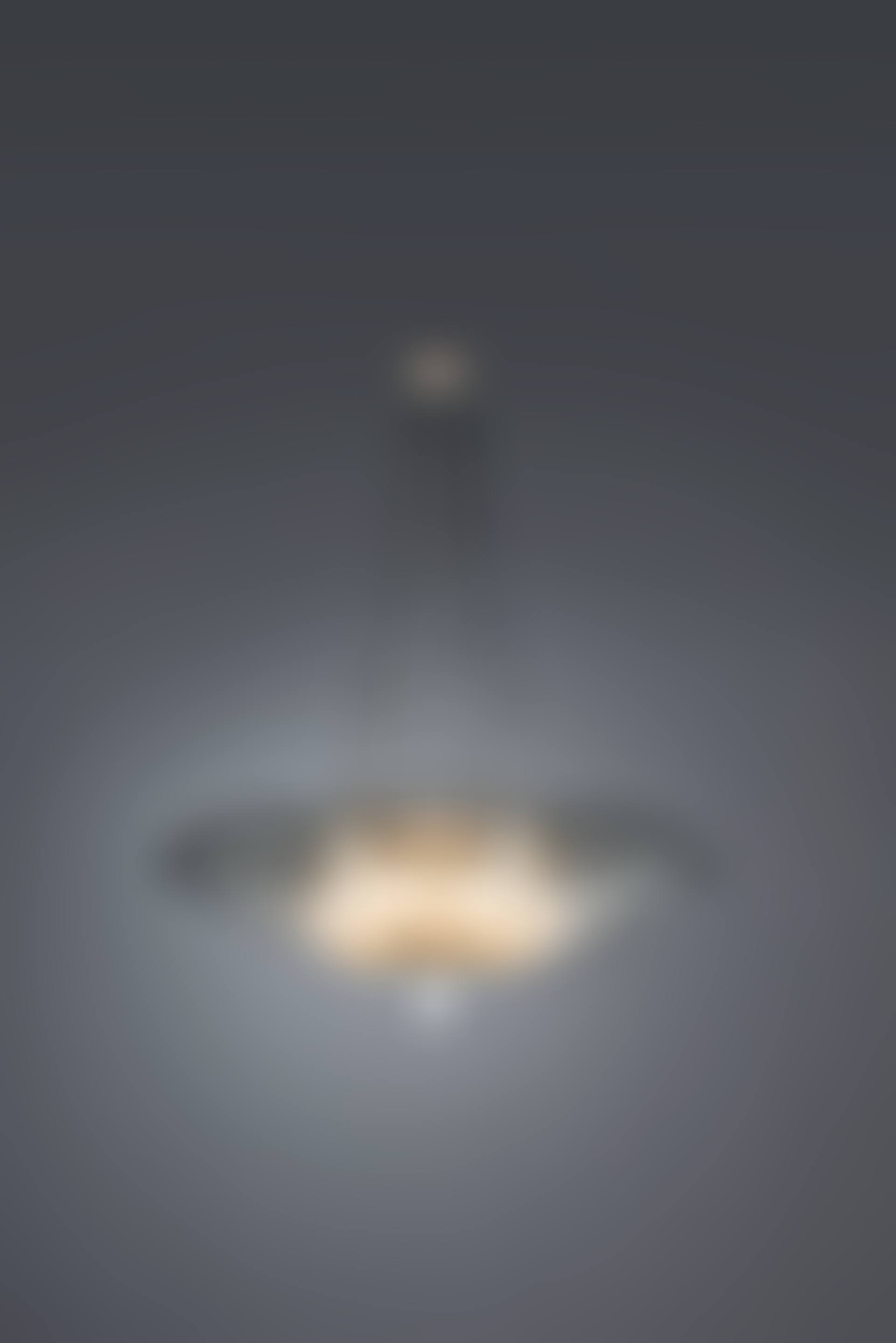 ‘FRUITS', AN IMPORTANT CHANDELIER, NO. 2259 (preview)