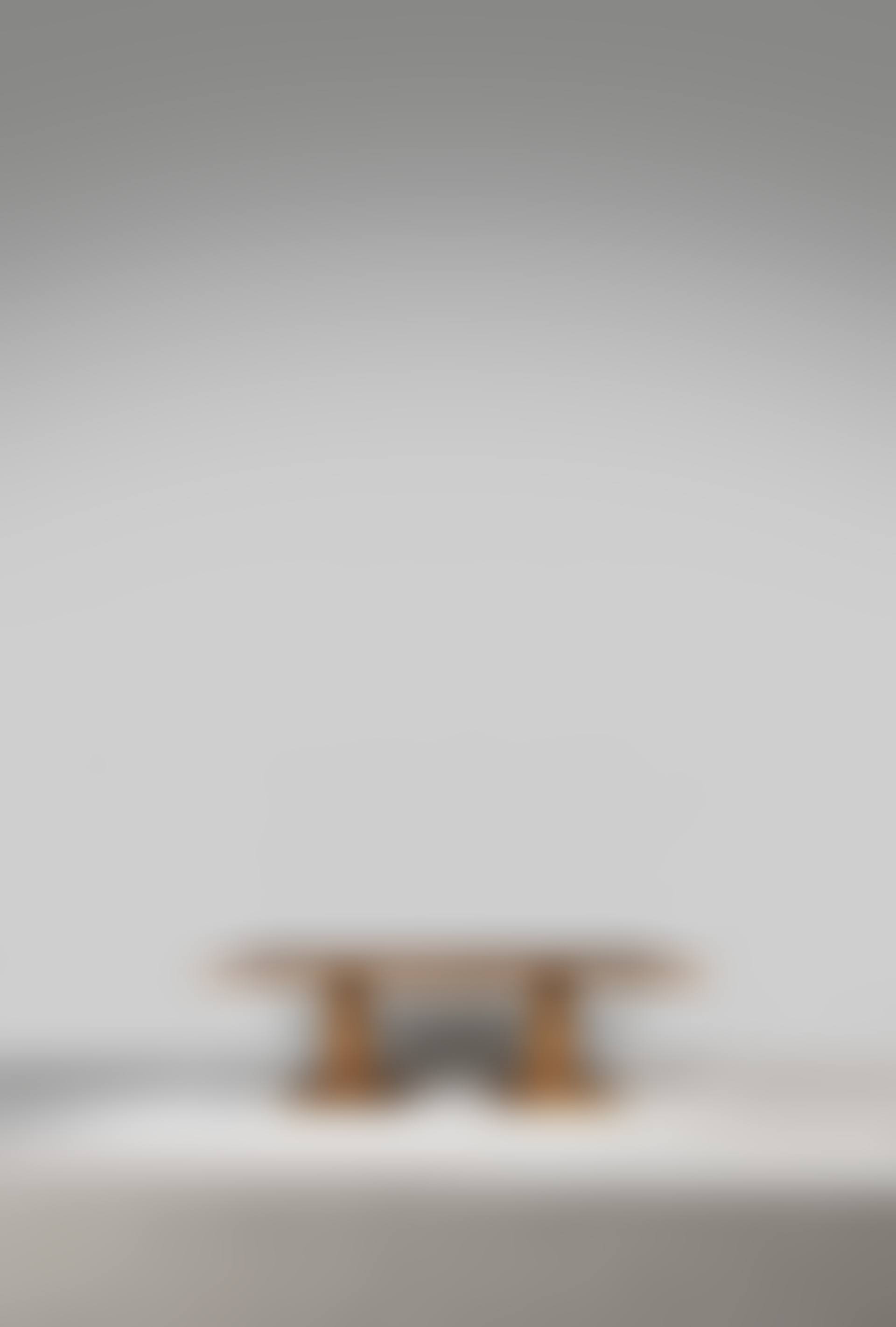 AN EXTENDABLE DINING TABLE (preview)