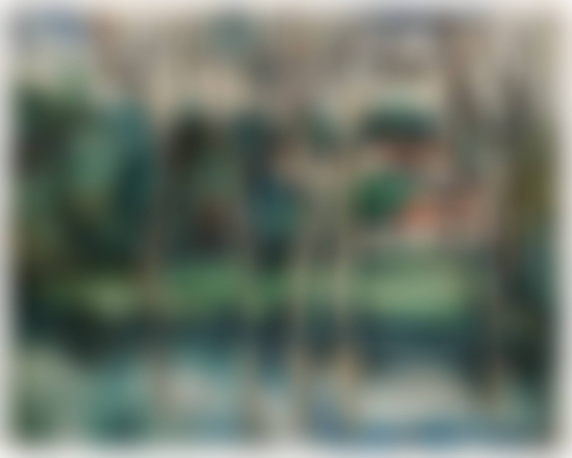 Village près de la rivière (preview)