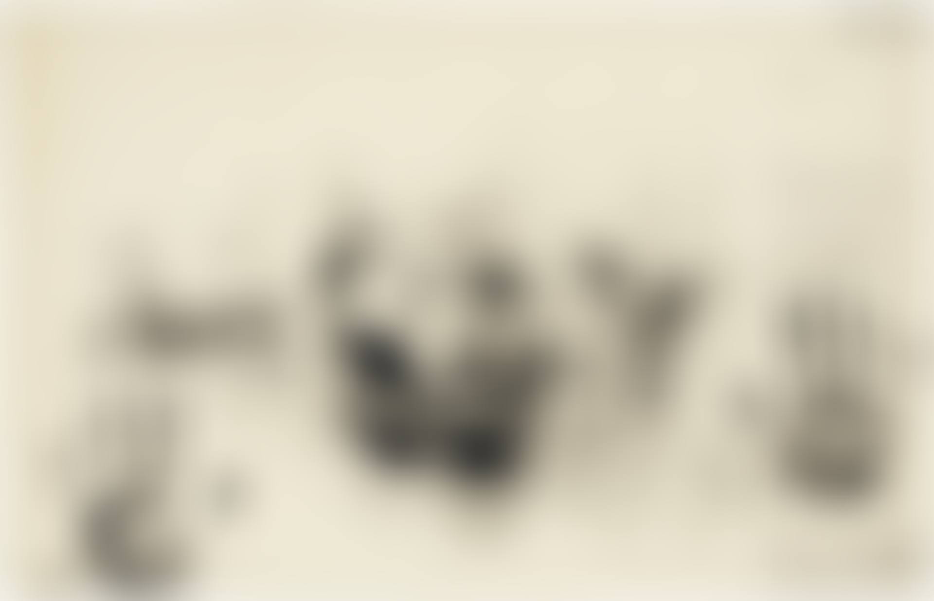 Skin with O’Hara Poem (preview)