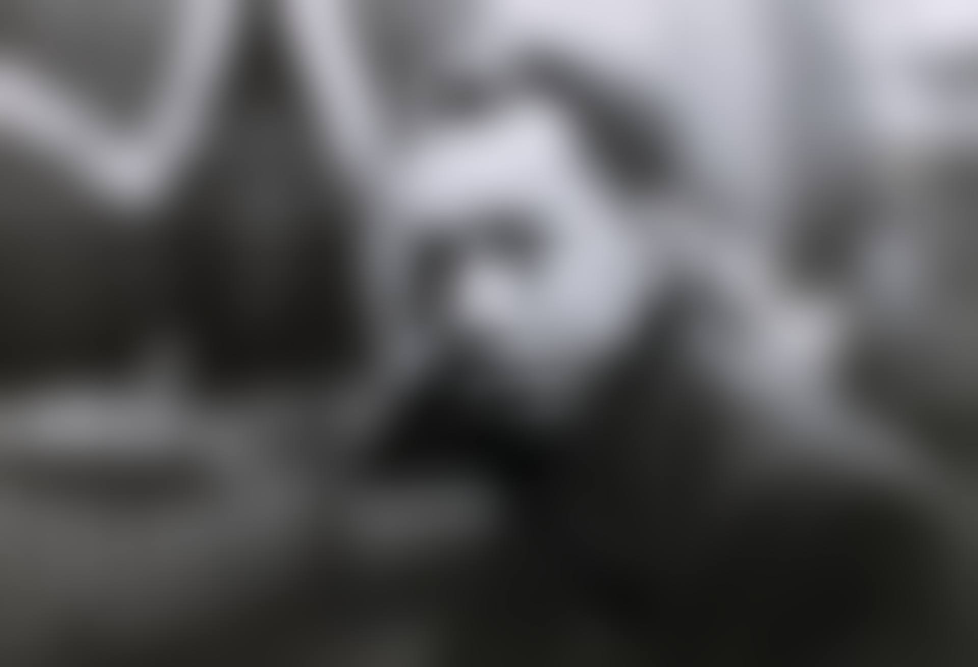 Albert Camus, Paris (preview)