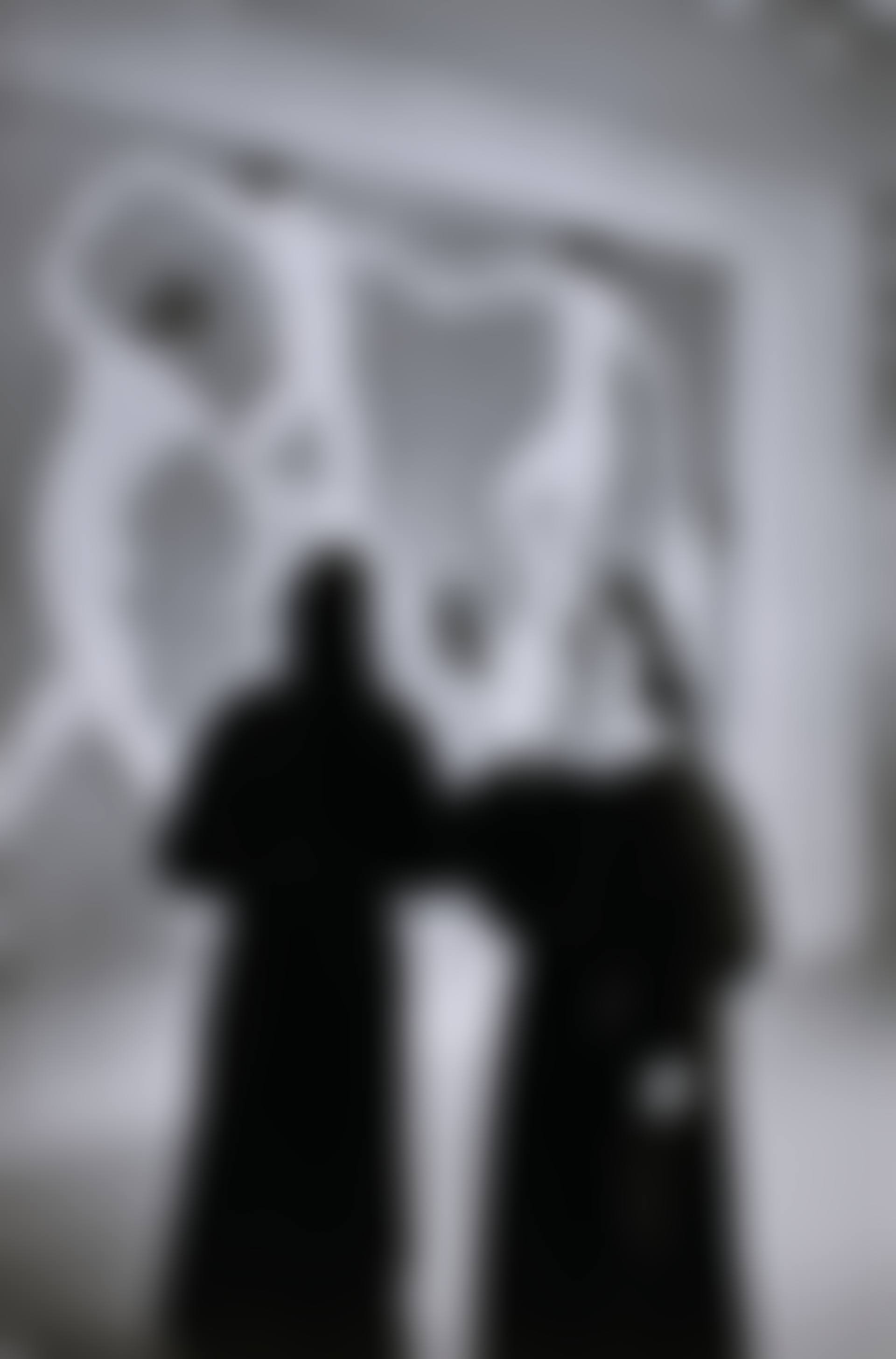Museum of Modern Art, New York, États-Unis (preview)