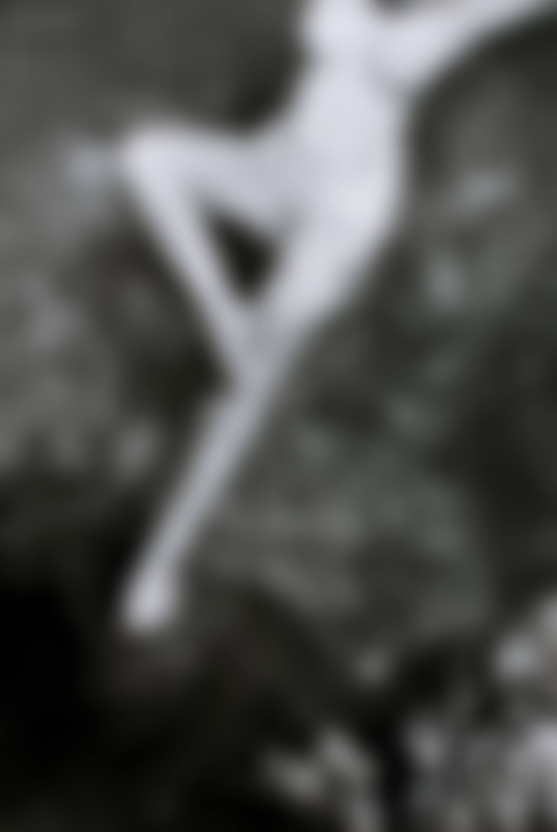 Leonor Fini, Italie (preview)
