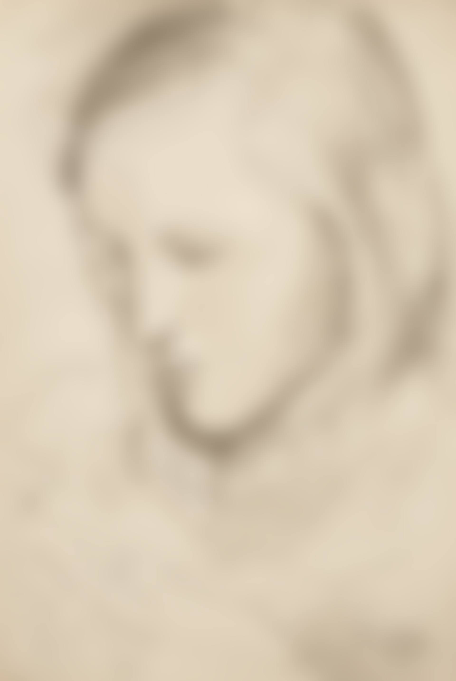 Tête de femme (Marie-Thérèse) (preview)