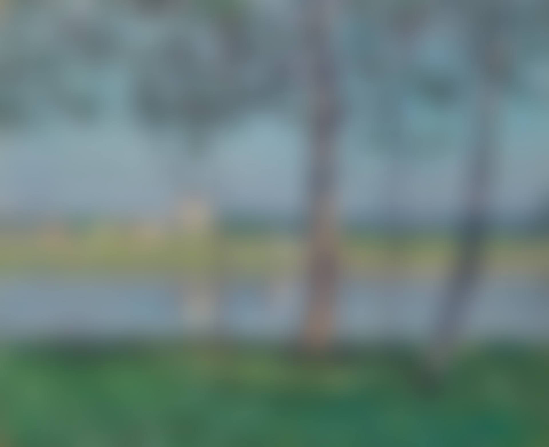 Rive de la Seine au Petit-Gennevilliers (preview)