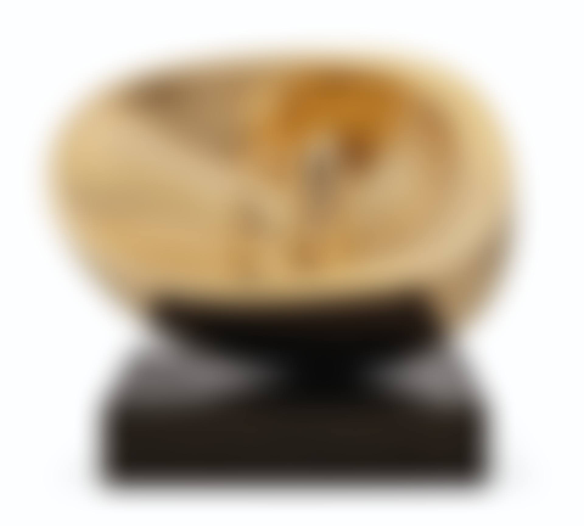 Oval with Two Forms (preview)