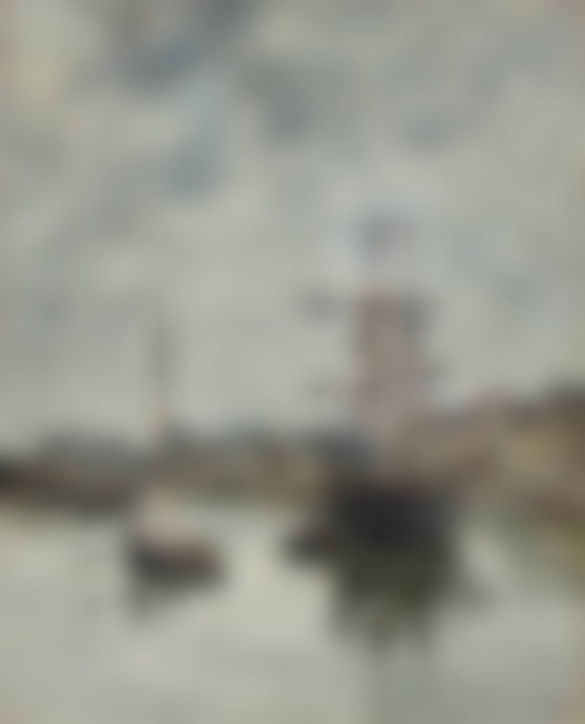 Trouville, le port marée haute (preview)