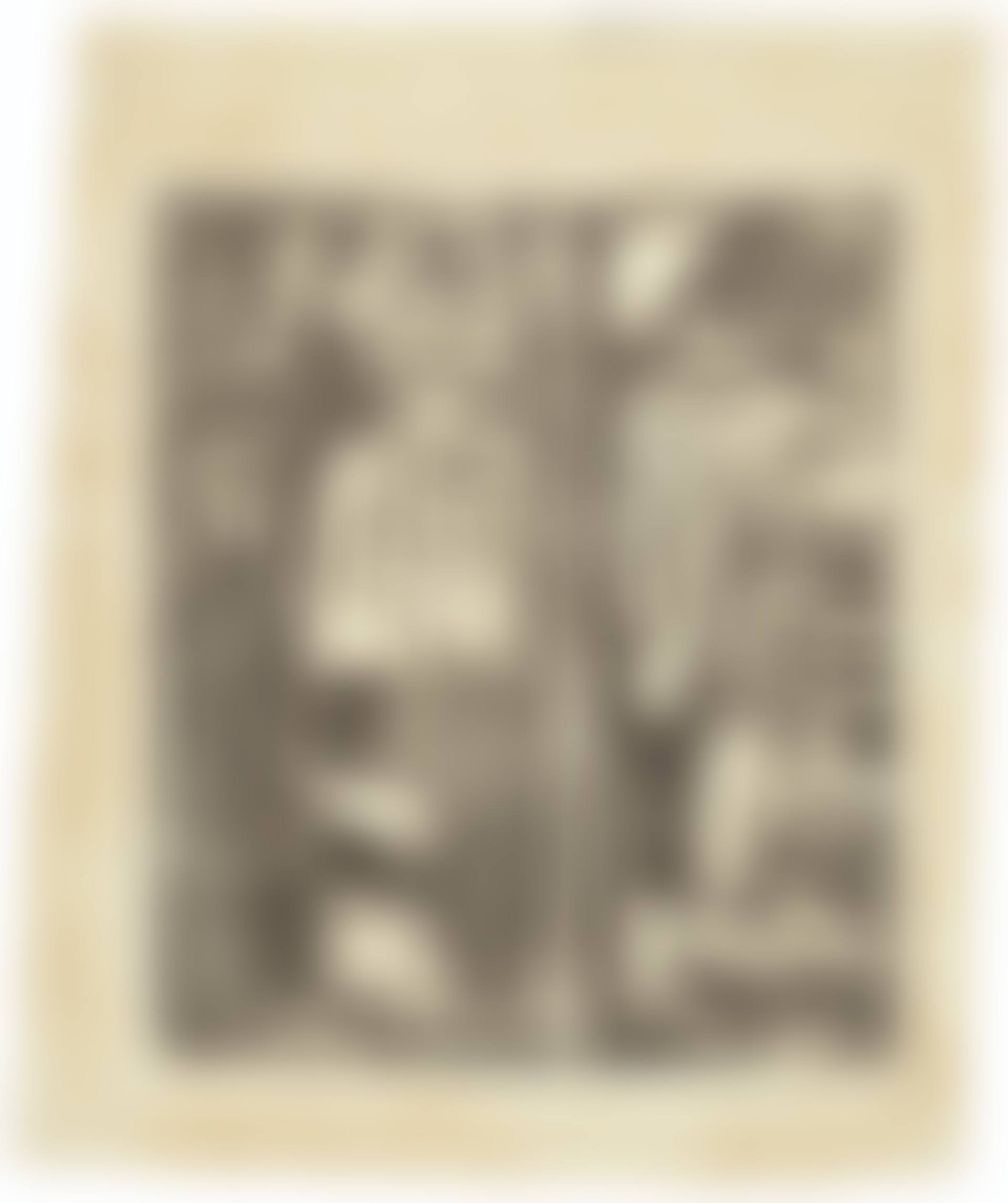 Femme cueillant des fruits et Oviri (preview)
