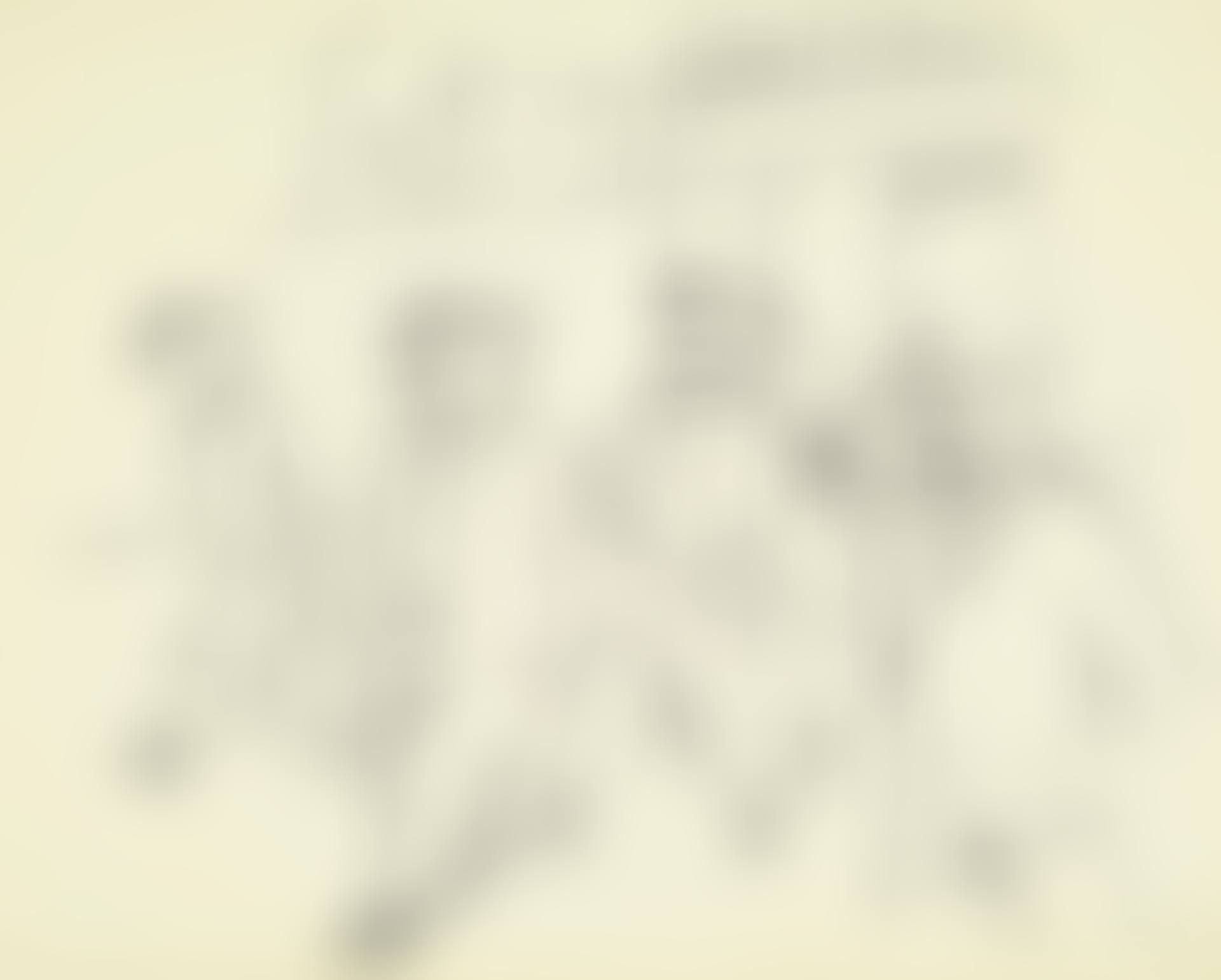 Pariser Arbeiter (preview)