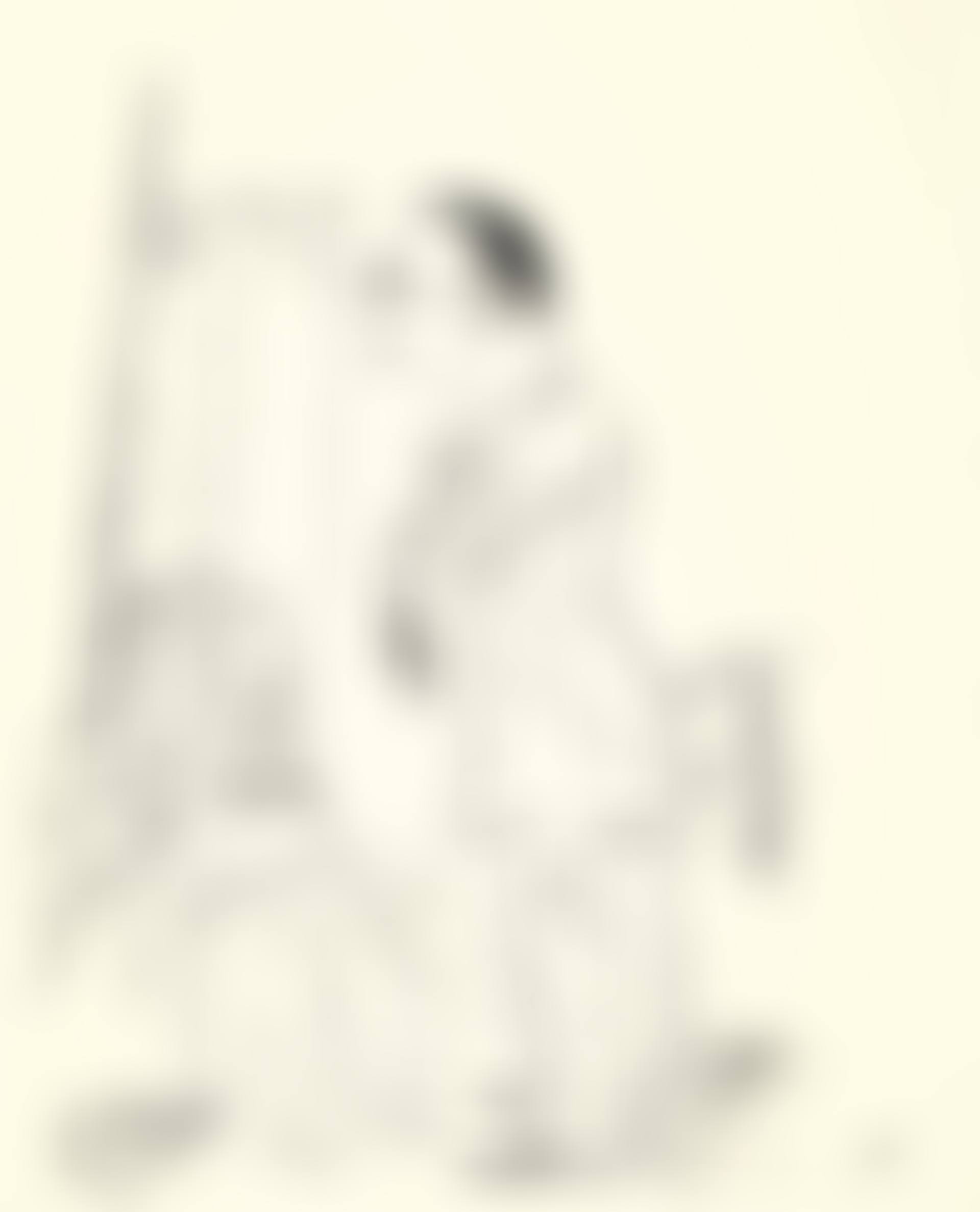 Sich pflegen, bringt Segen! (F. Sch. Gewidmet) (preview)