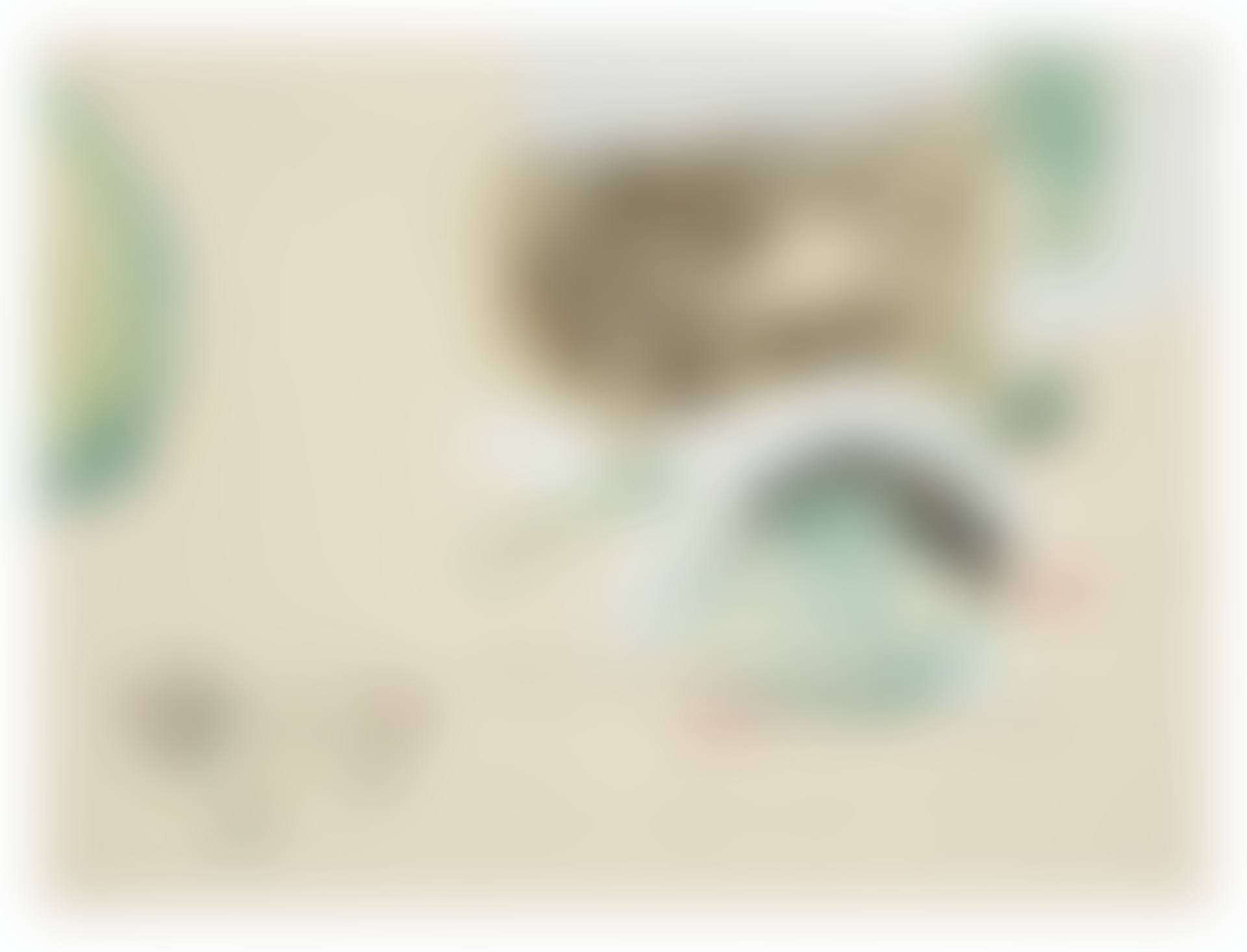 Paragraph II (preview)