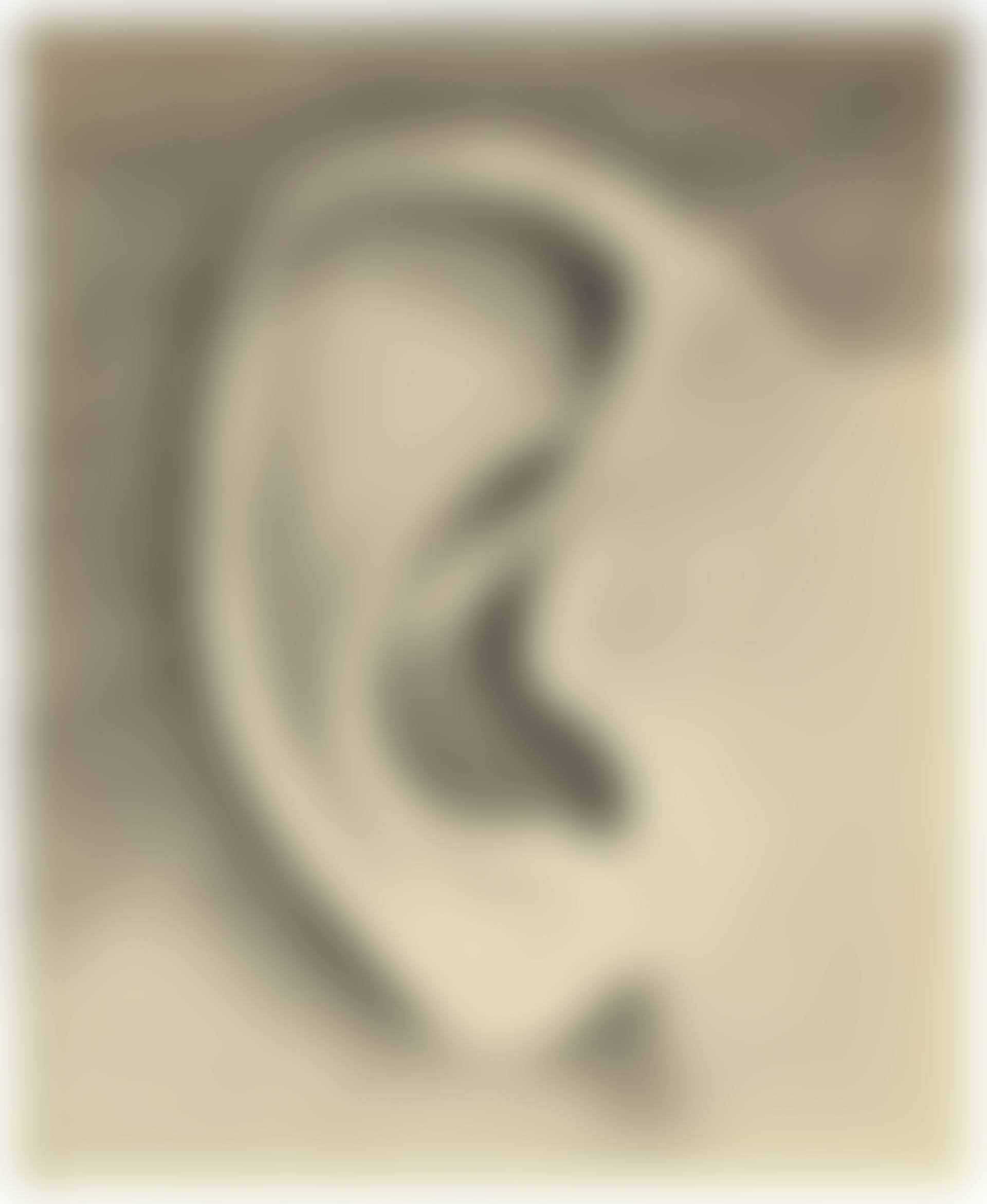 Paul's Ear (preview)