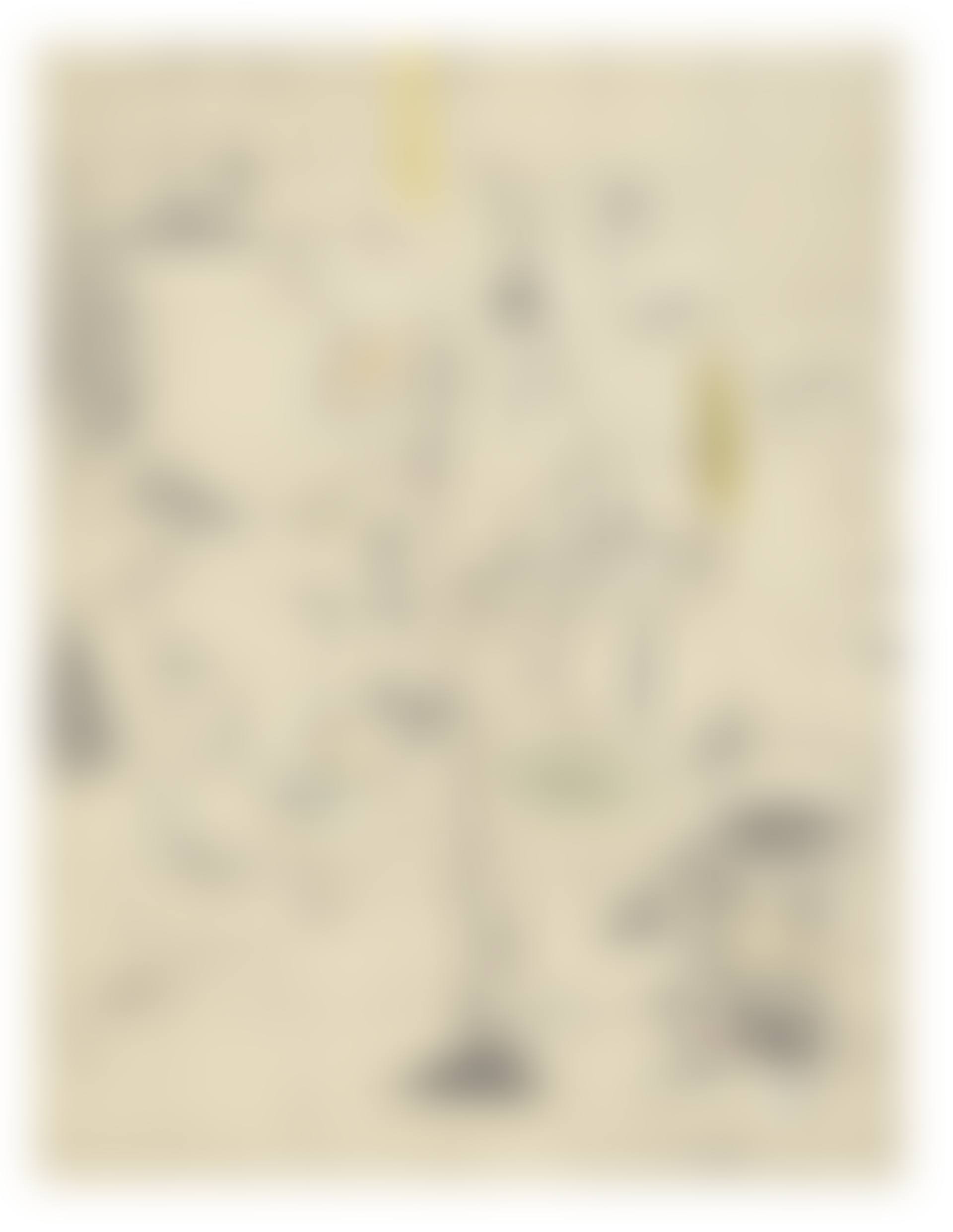 Study for the Betrothal (preview)