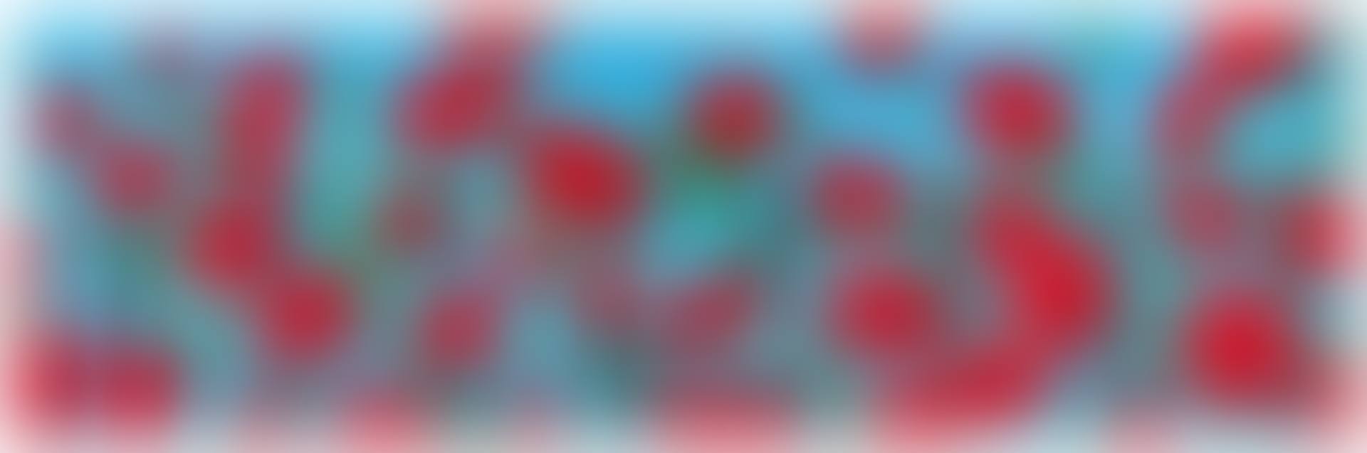 Roses on Blue (preview)