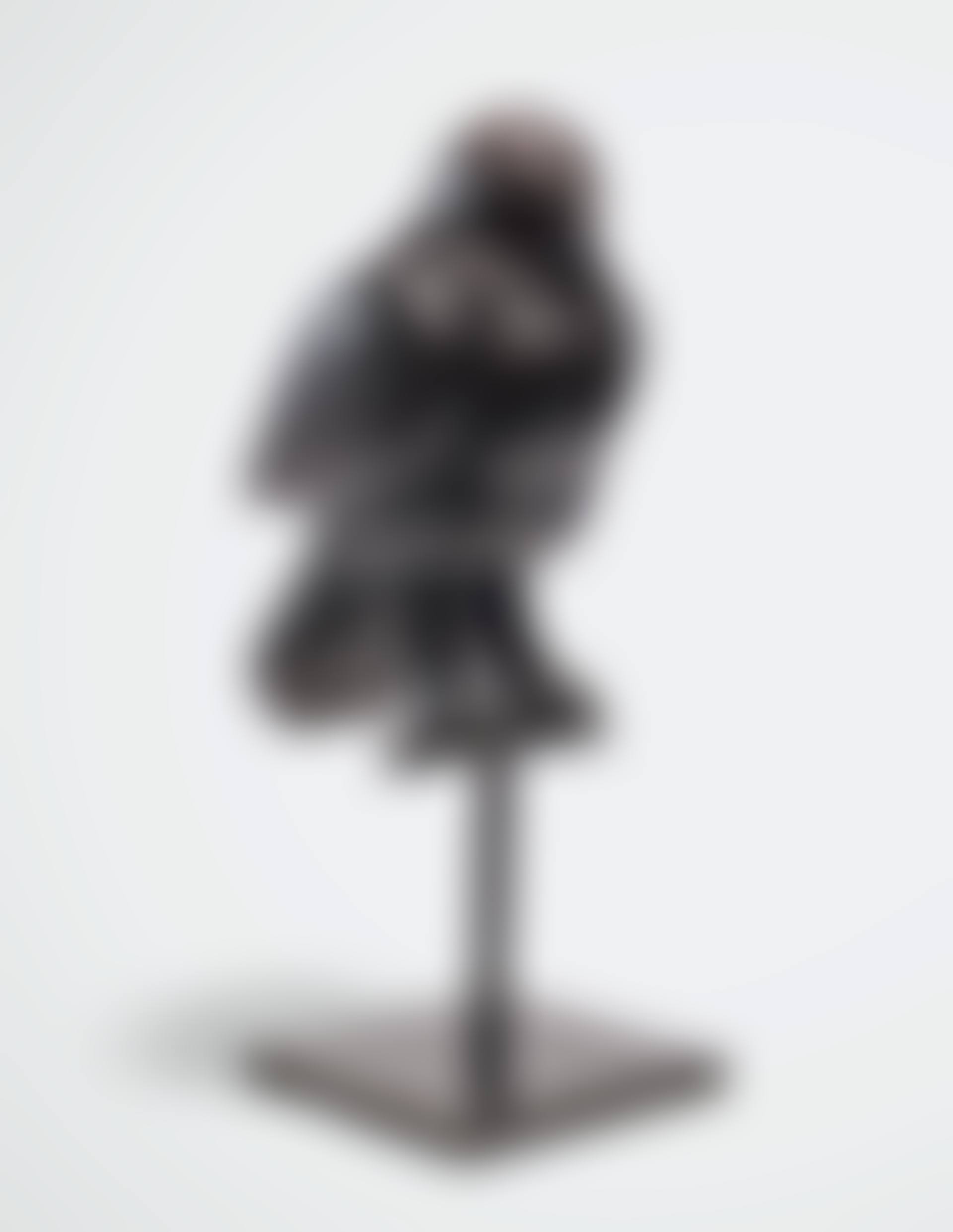 Bird on a Perch (preview)