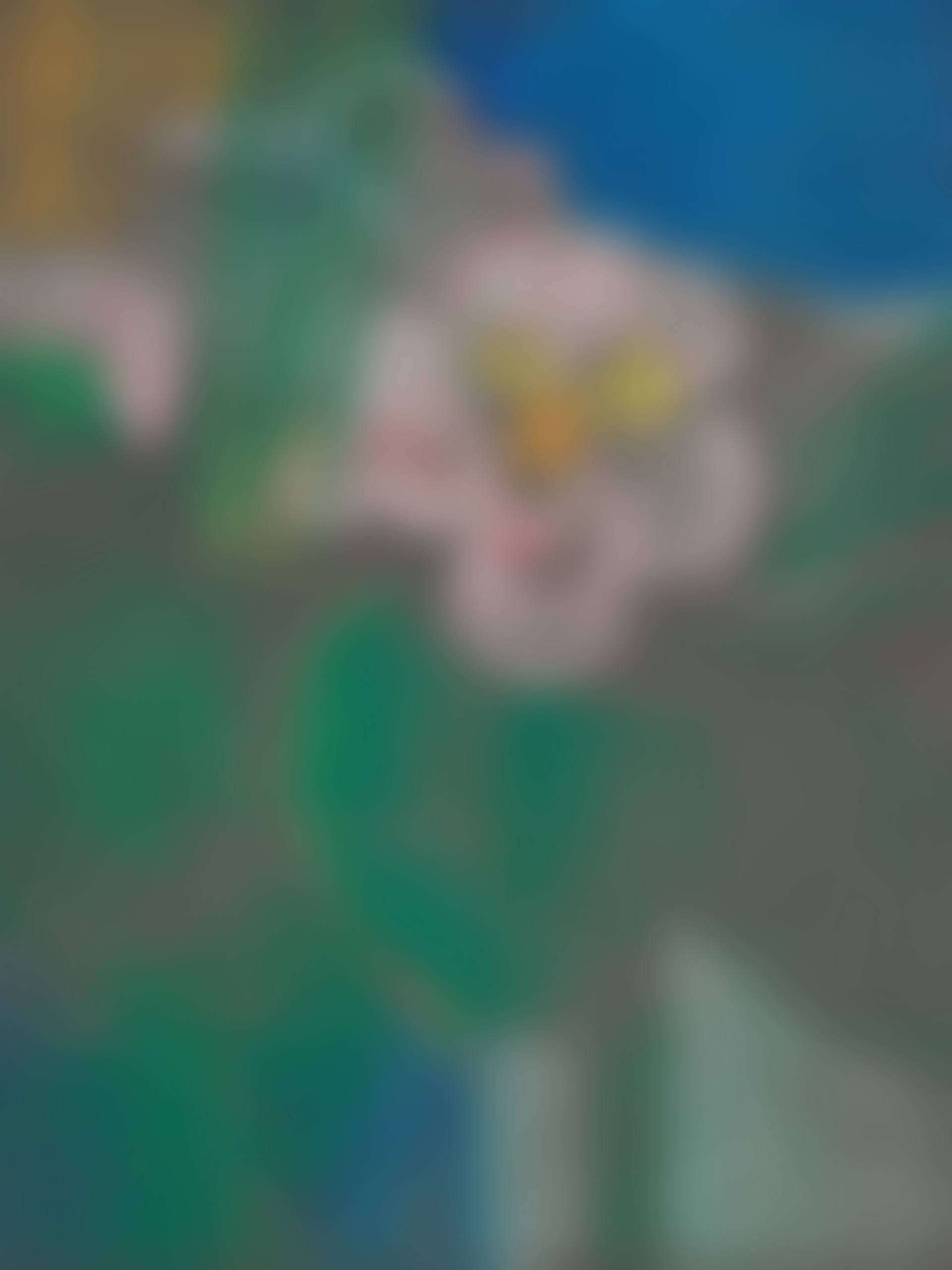 Untitled (Flower) (preview)
