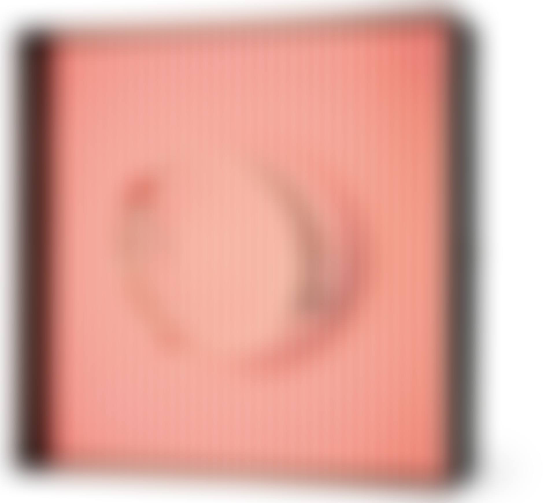 Cercle en Contorsion sur Trame Rouges (preview)