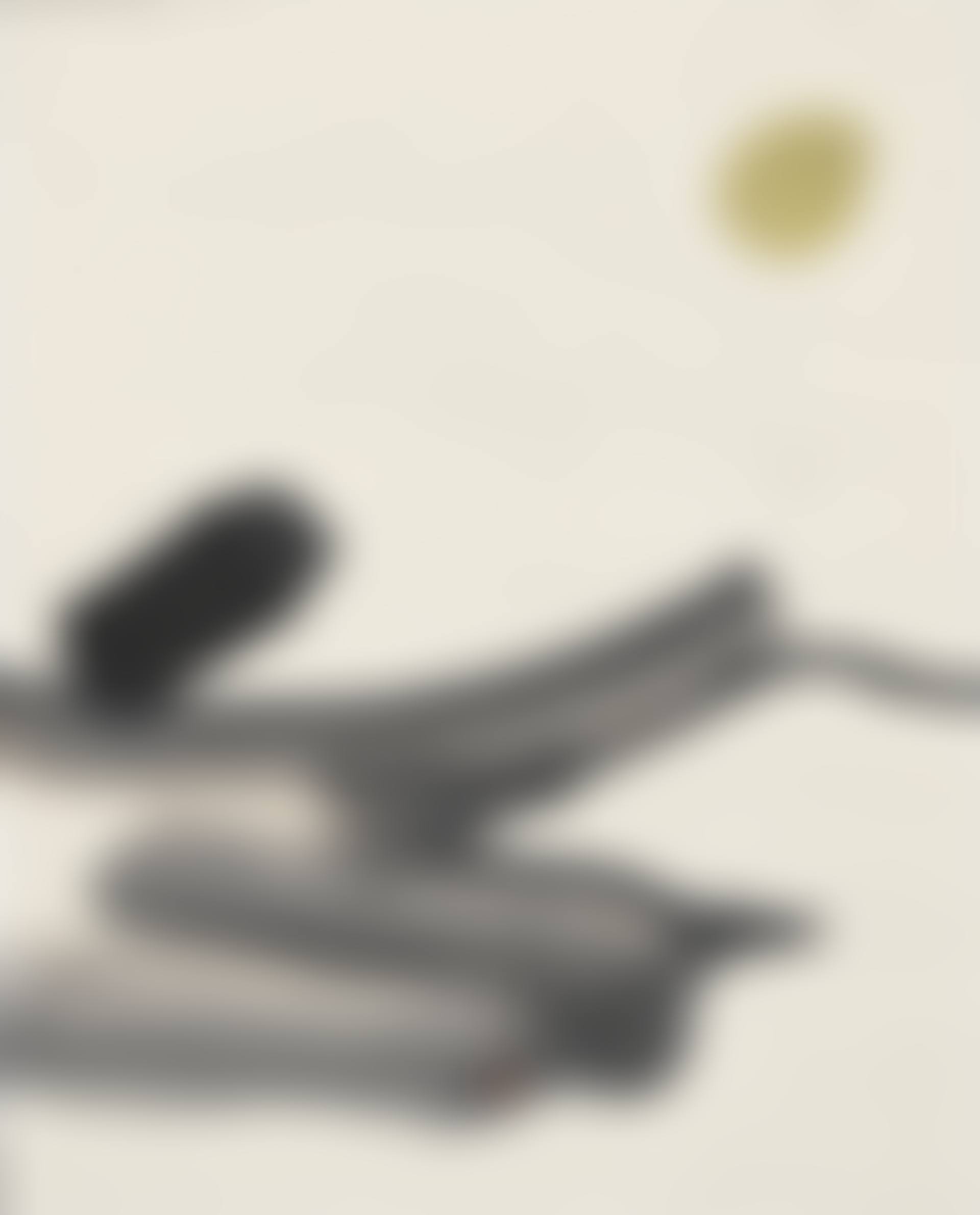 Abstract (preview)