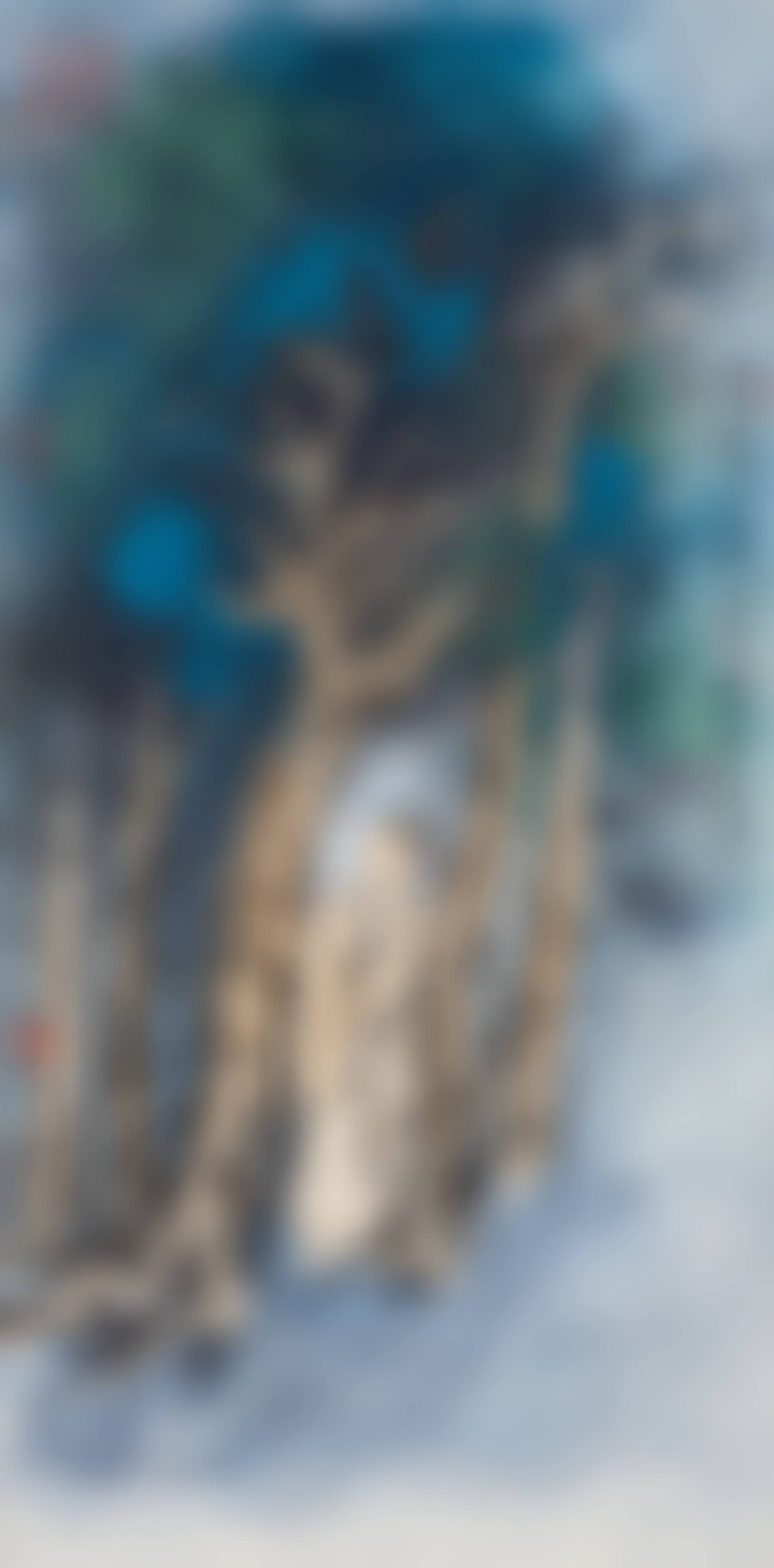 Scholar in the Woods (preview)