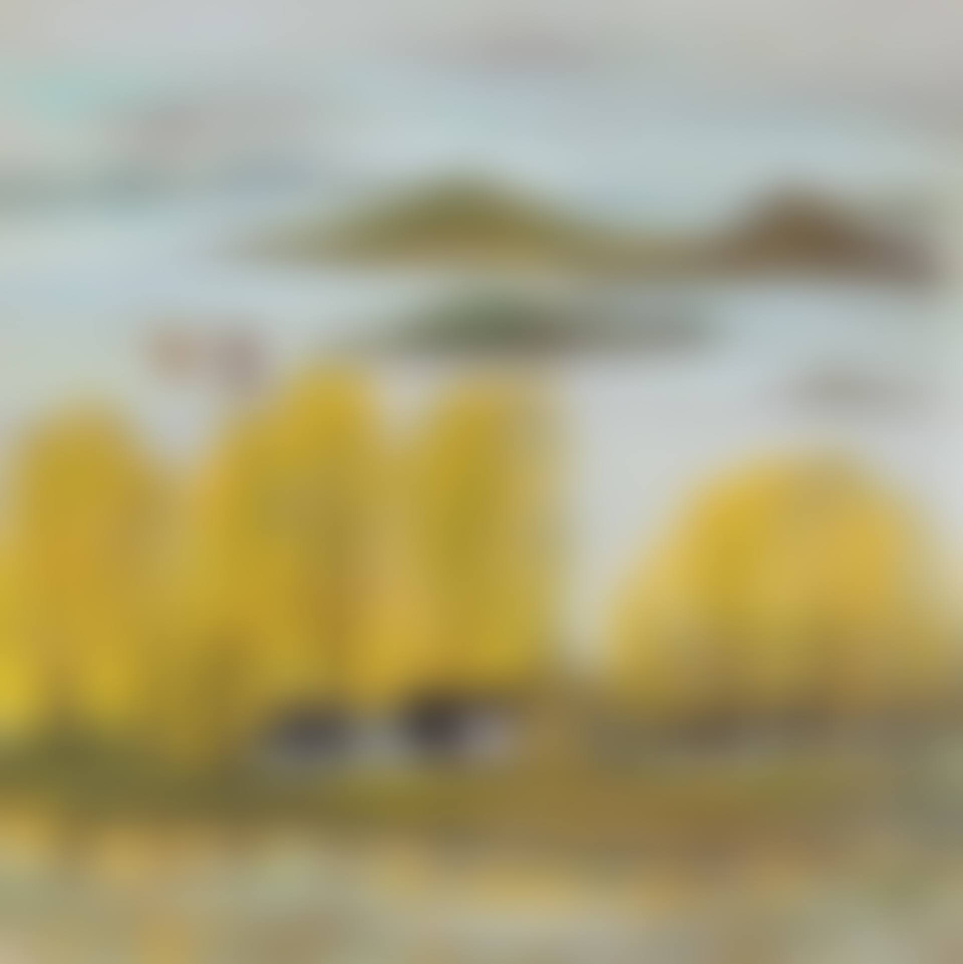 Lake (preview)