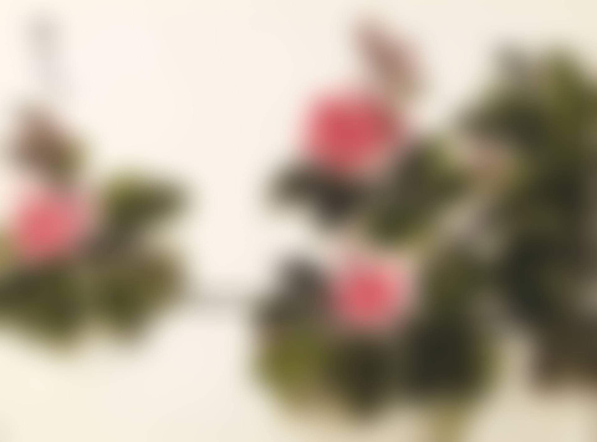 Flowers (preview)