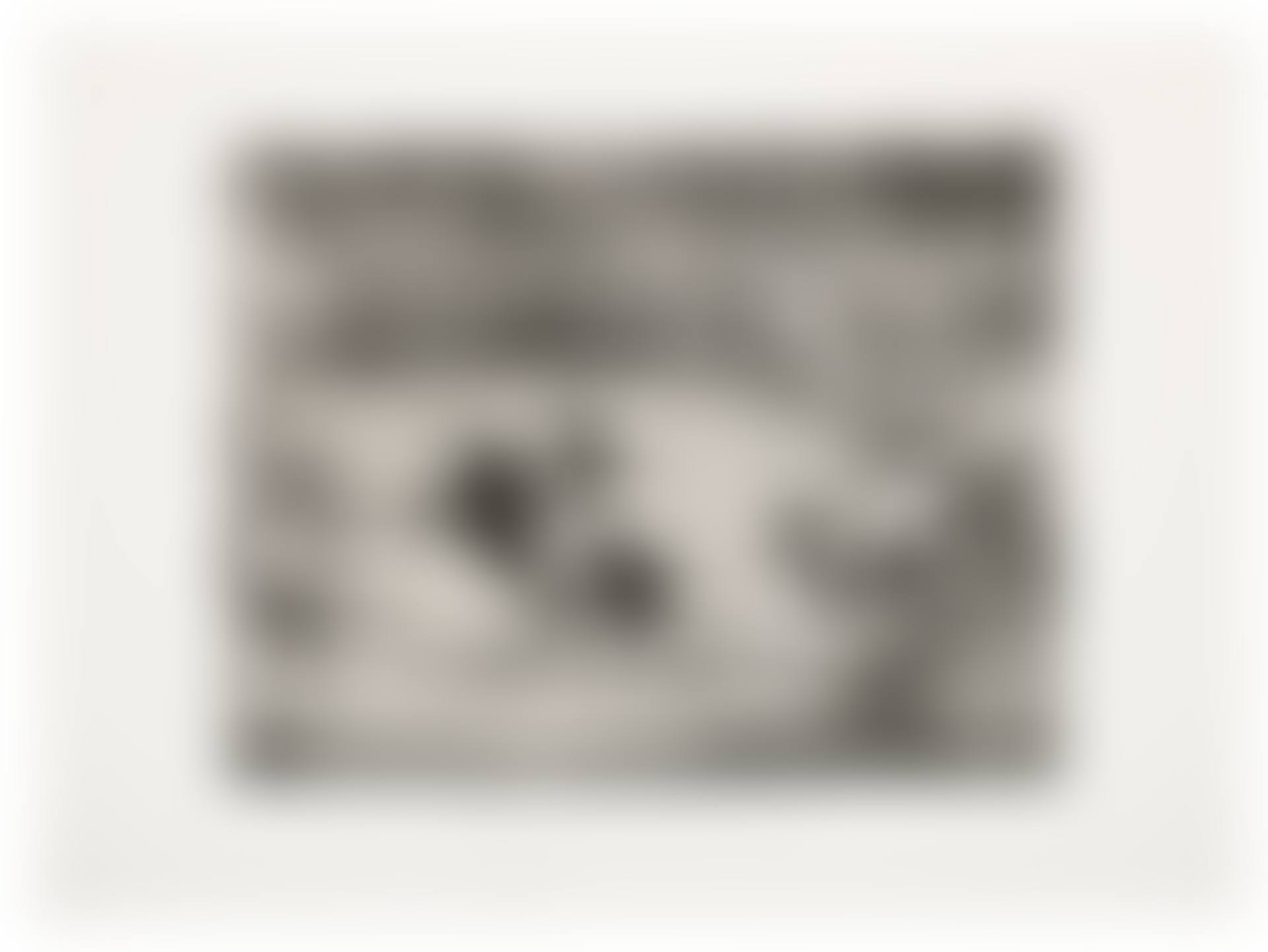 El Famoso Americano, Mariano Ceballos, from: The Bulls of Bordeaux (preview)