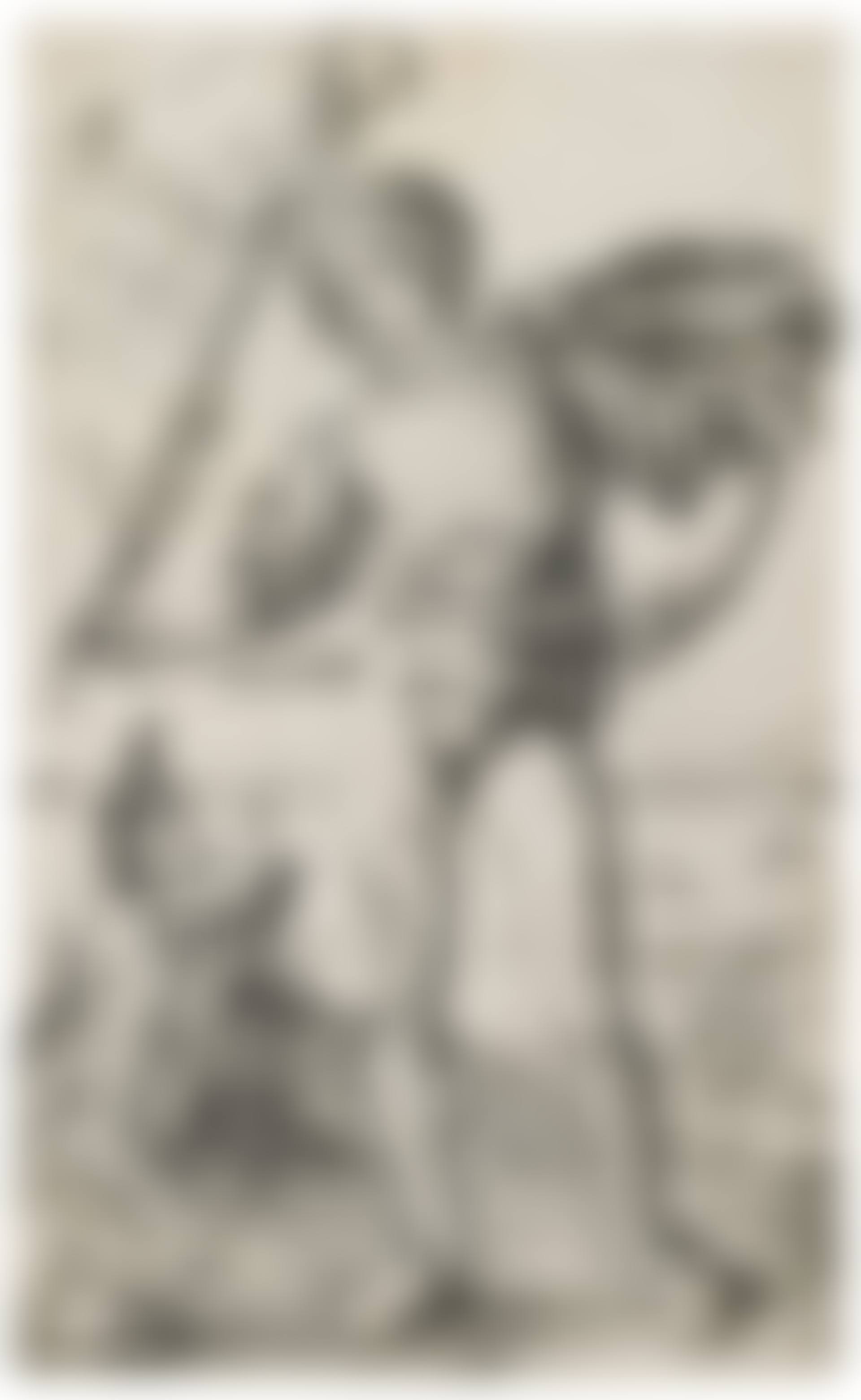 The Standard Bearer (preview)