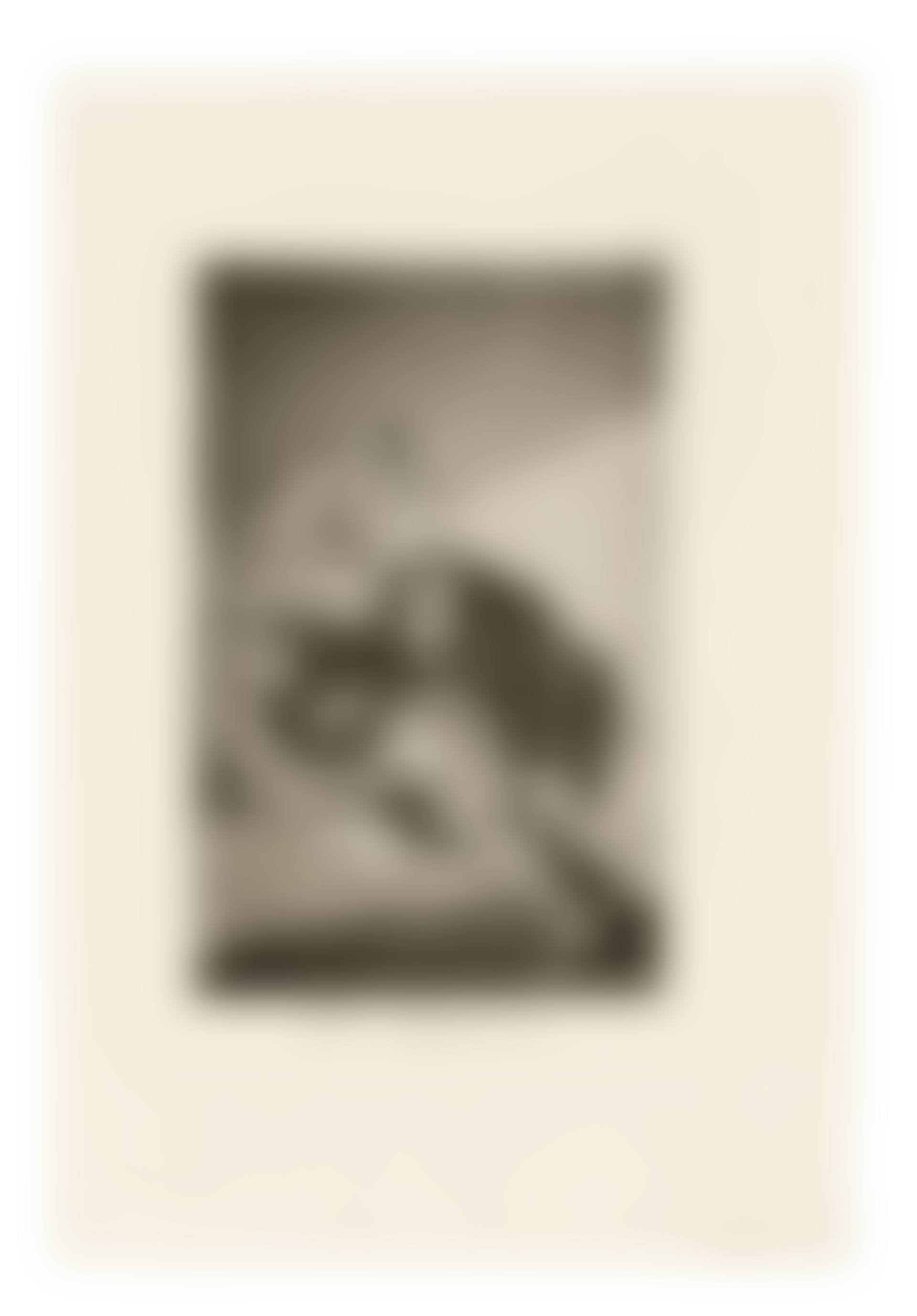 El Vergonzoso, plate 54 from: Los Caprichos (preview)