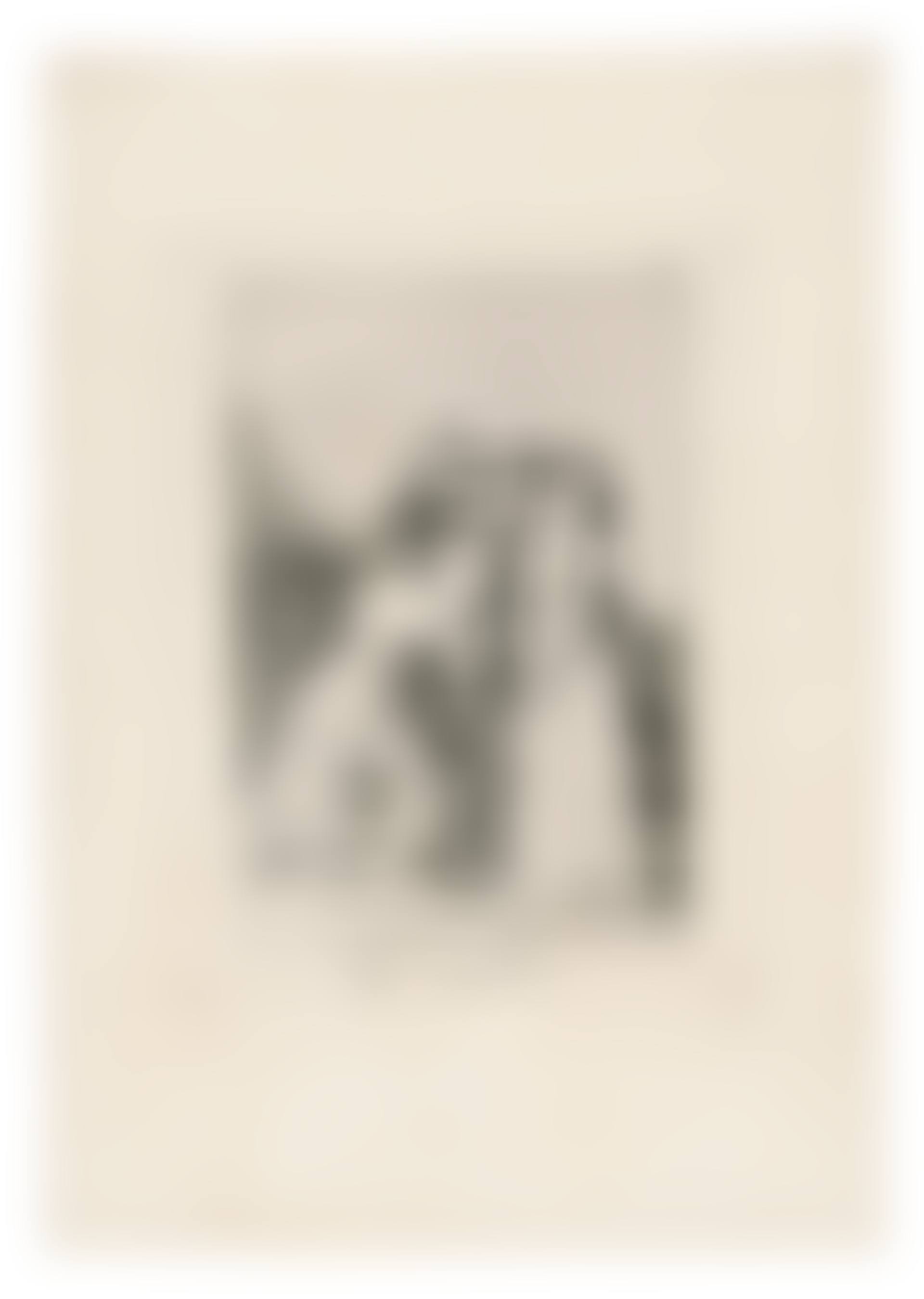 Que Sacrificio, plate 14 from: Los Caprichos (preview)