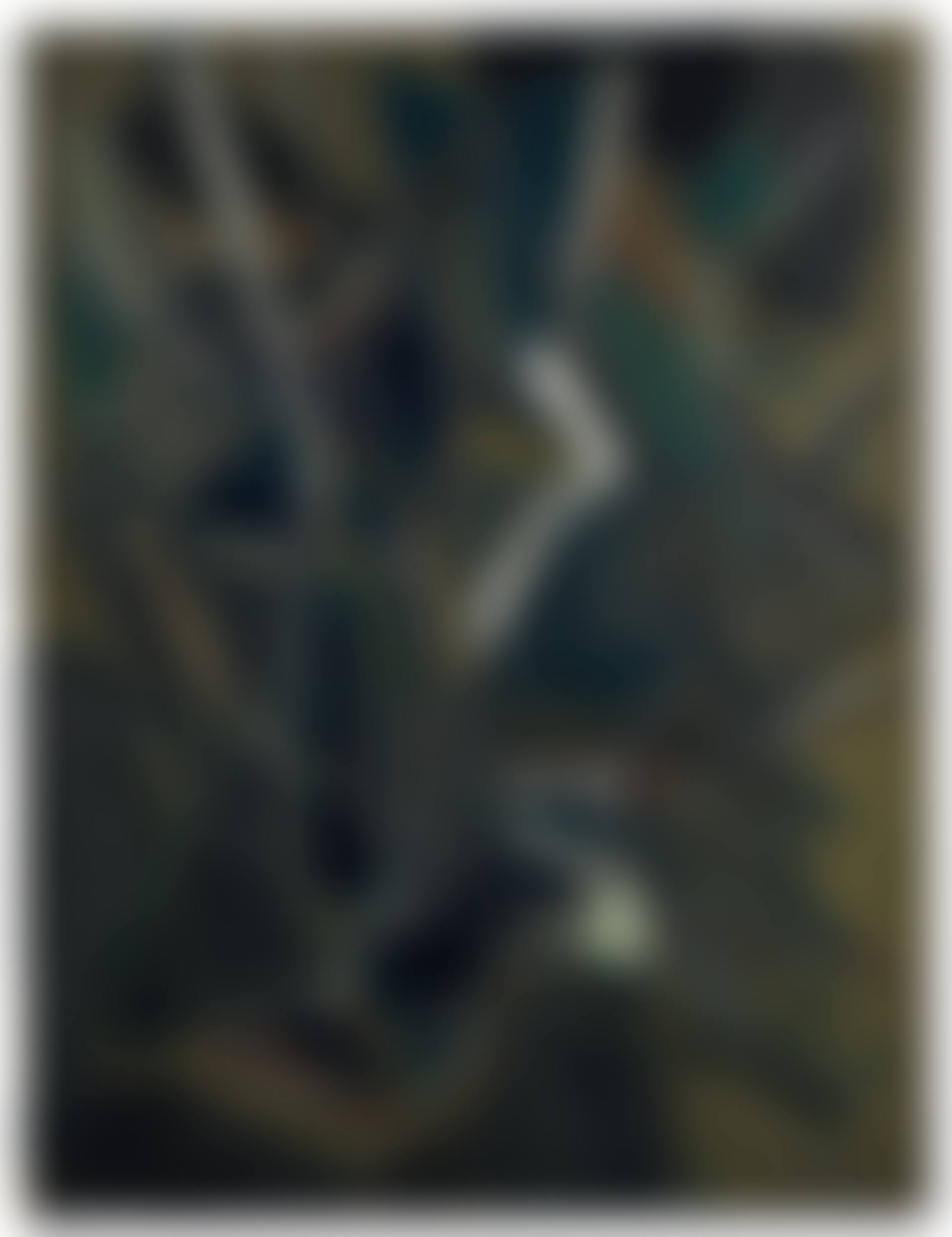Composition (preview)