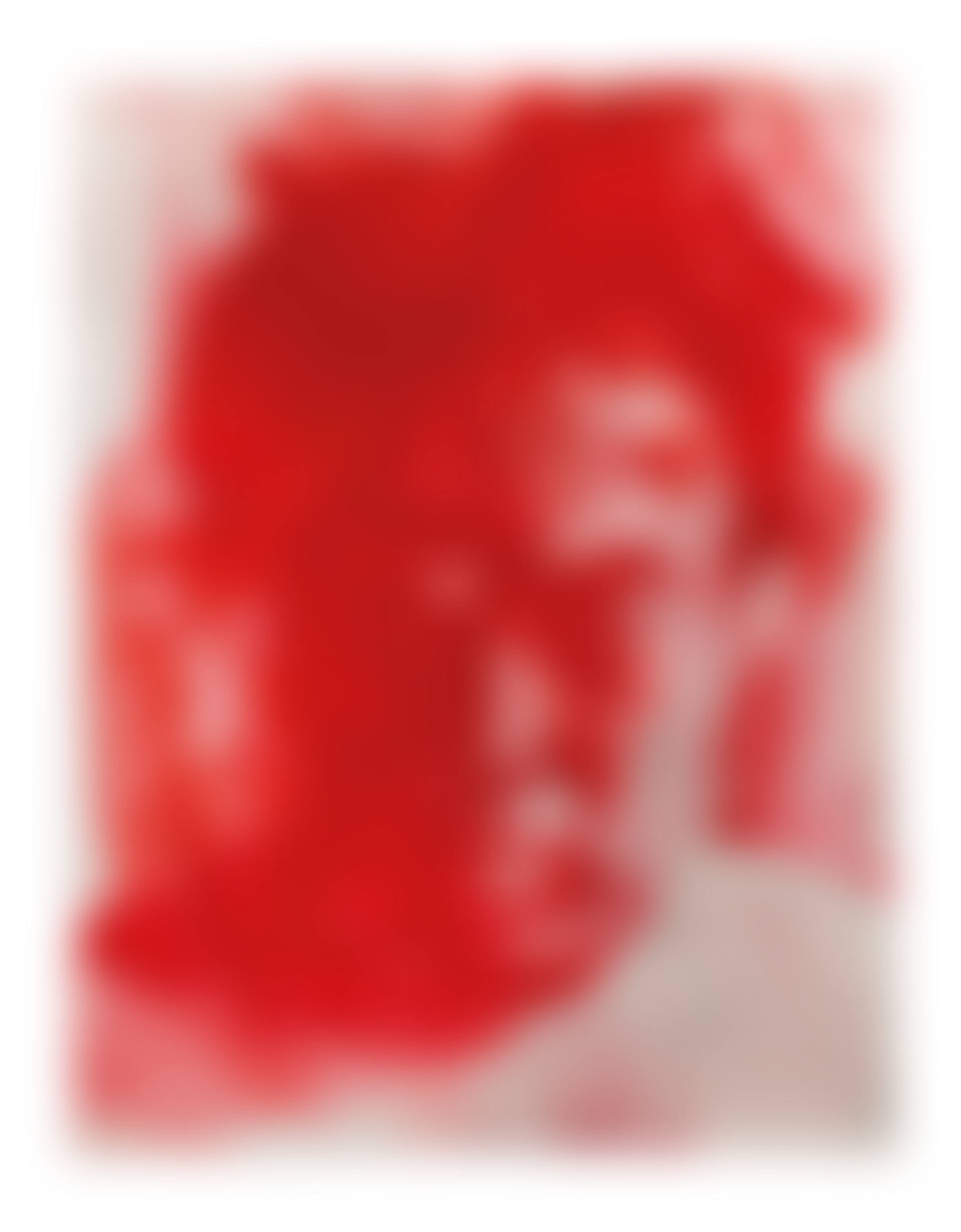 Autoportrait Rouge (preview)