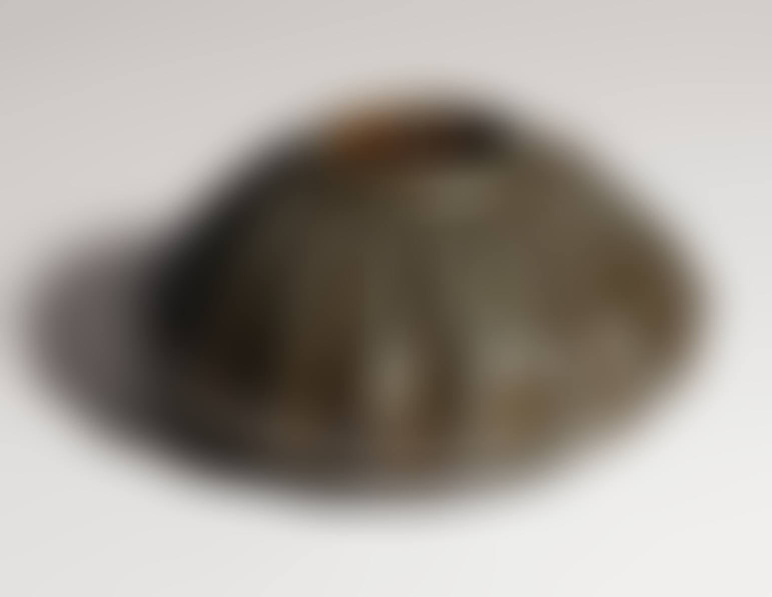 VASE (preview)