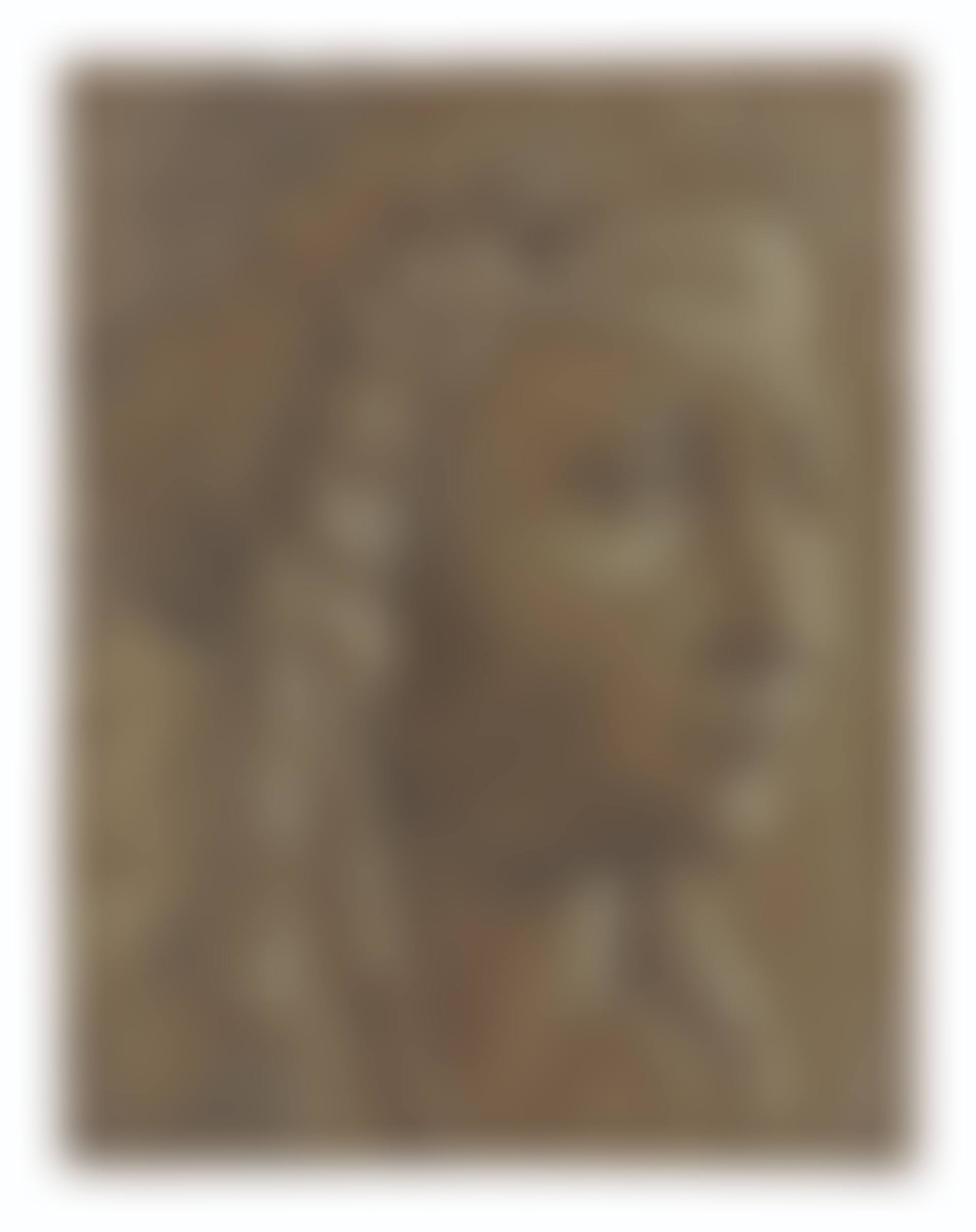 Head of a veiled woman (preview)