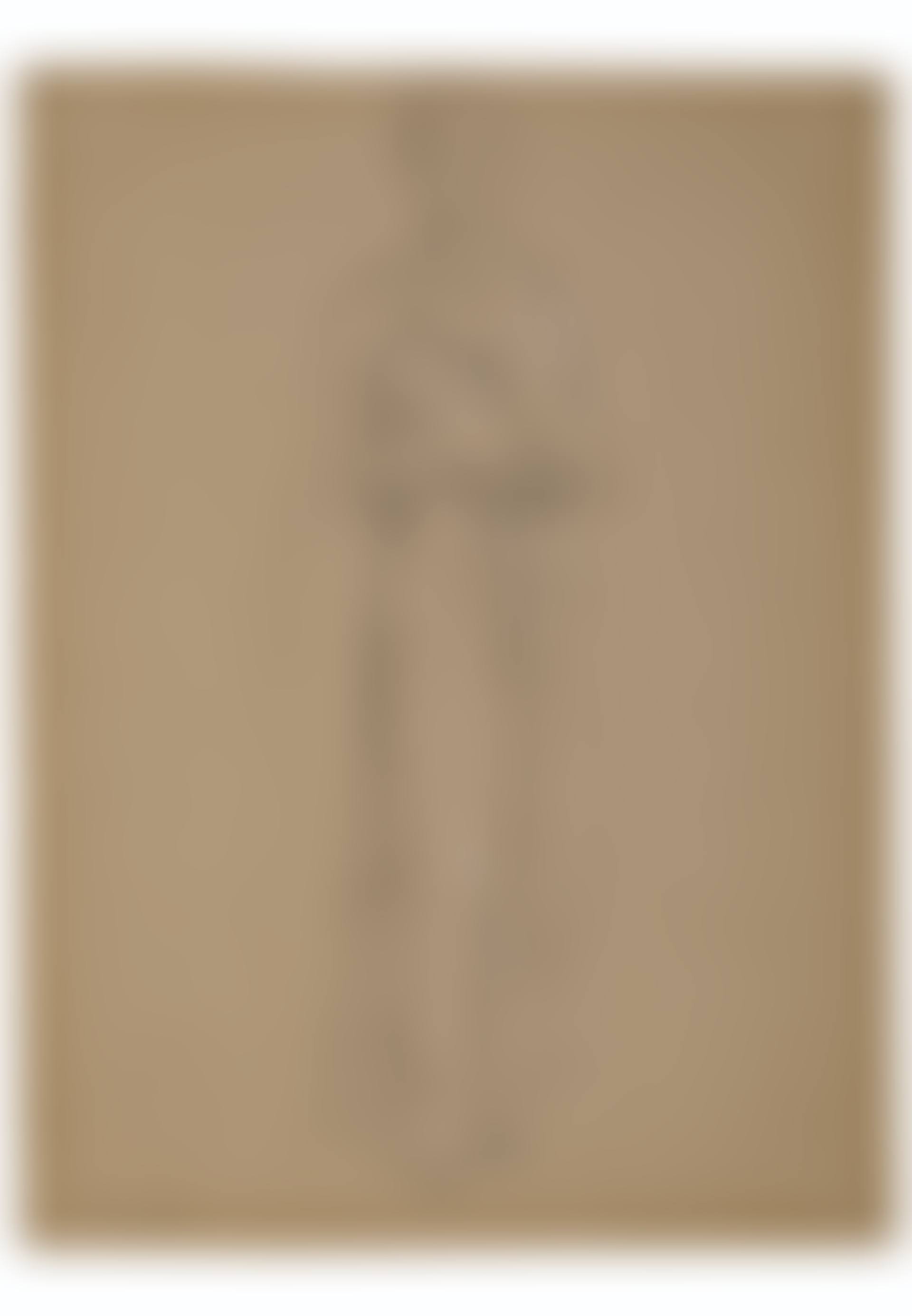 Standing draped woman (recto); Drapery study (verso) (preview)
