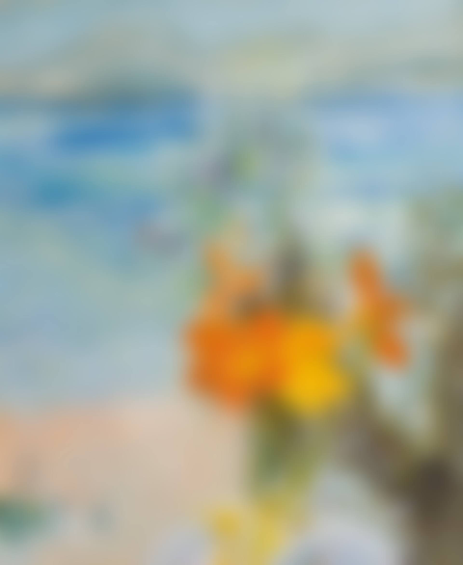 Zenia (preview)