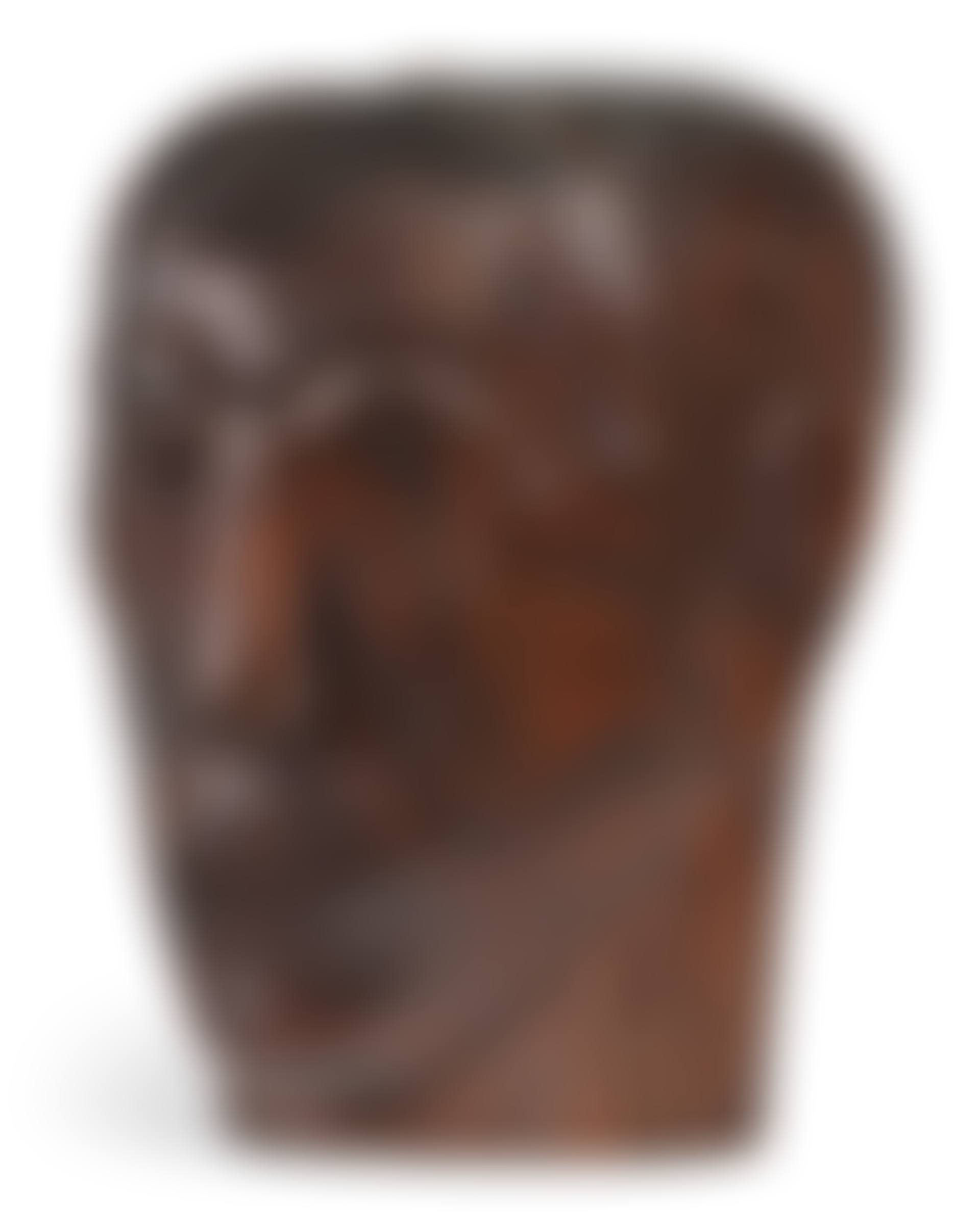 Tête d'homme (preview)
